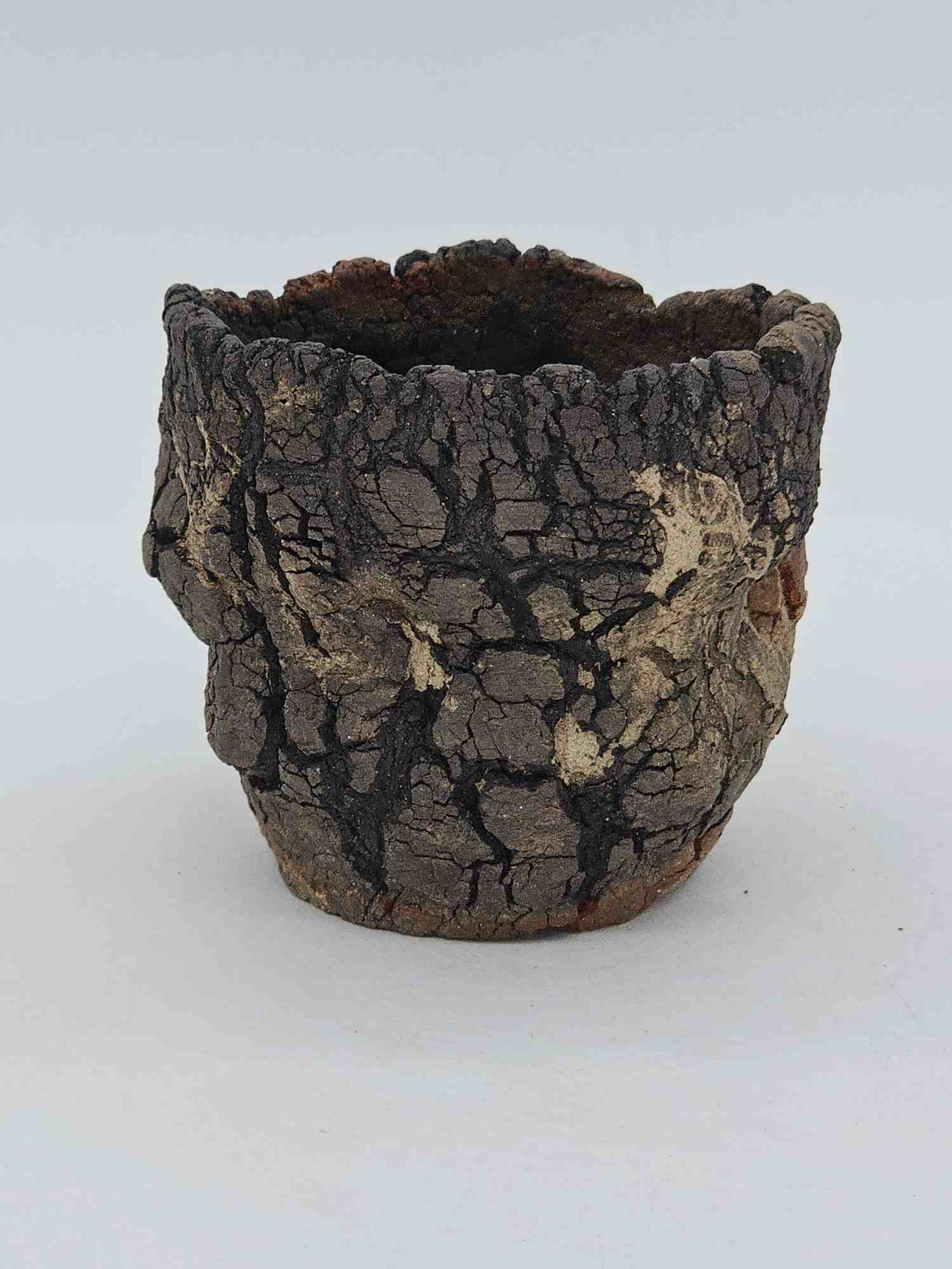 Cooked Earth