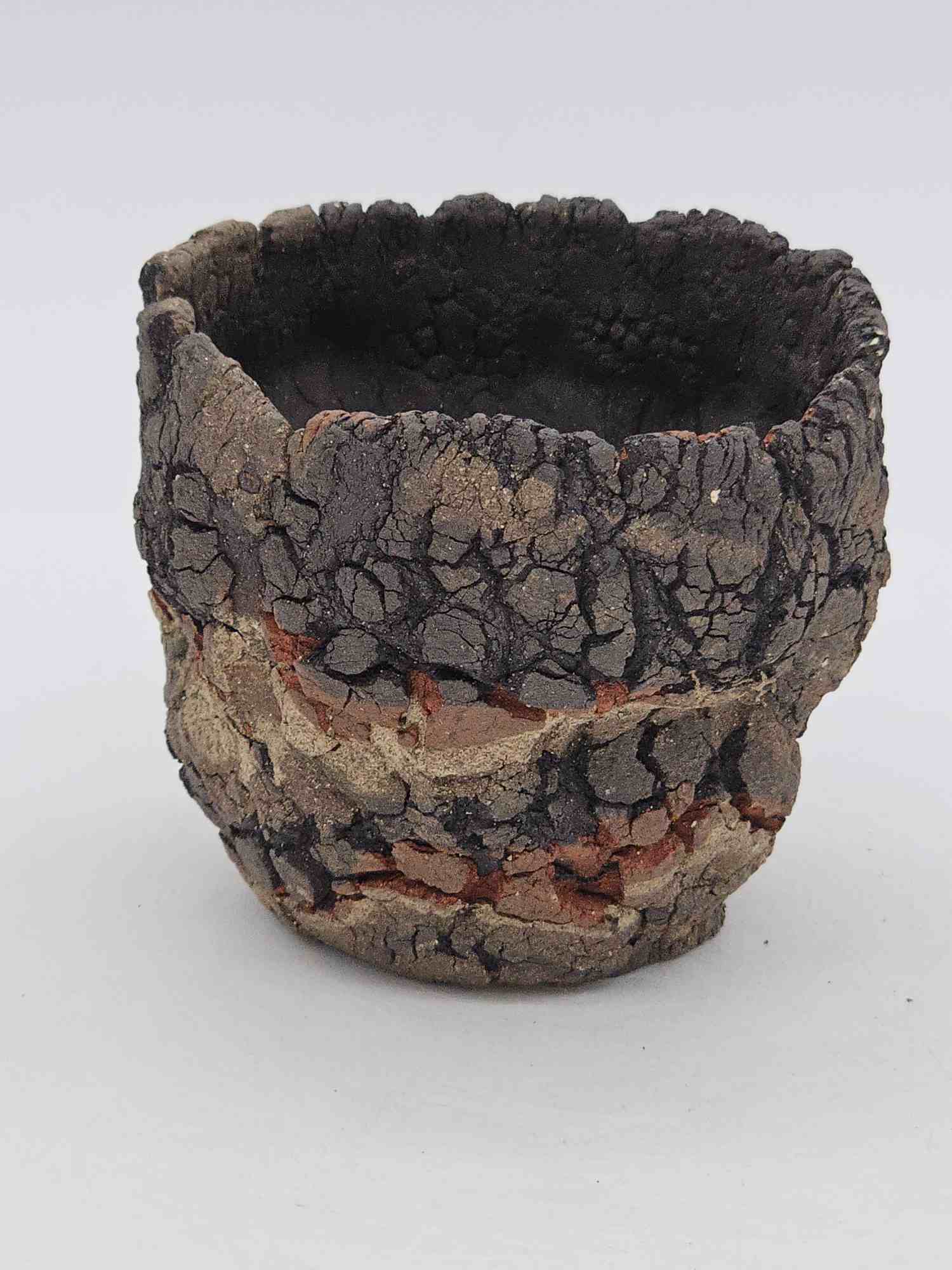 Cooked Earth