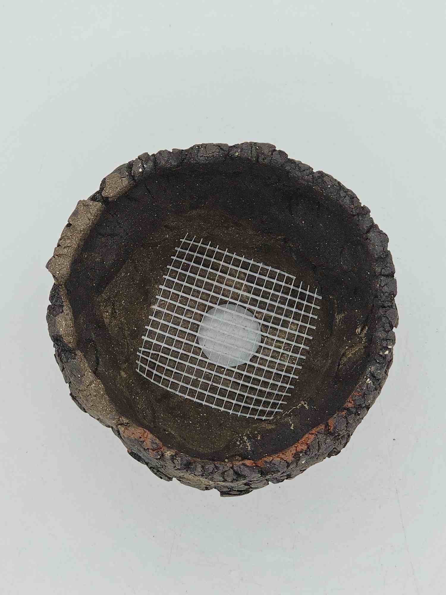 Cooked Earth