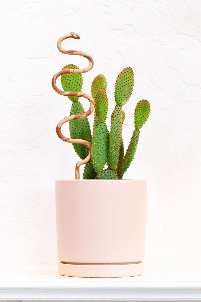 Ceramic Plant Snake Stake