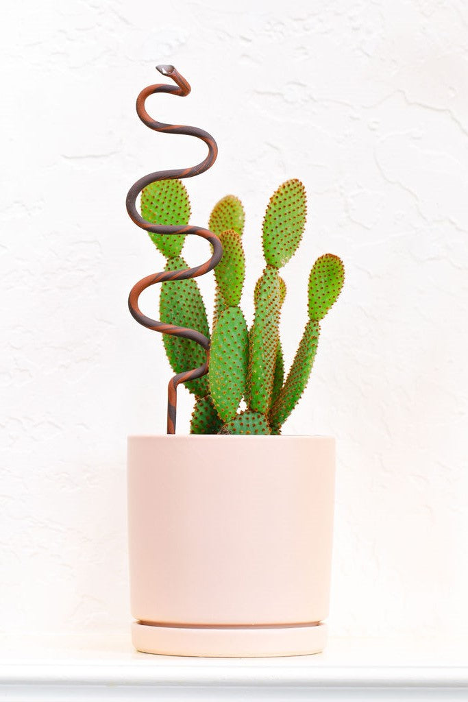 Ceramic Plant Snake Stake