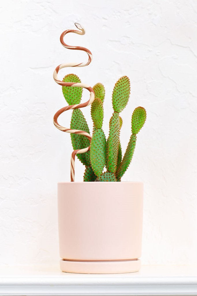 Ceramic Plant Snake Stake