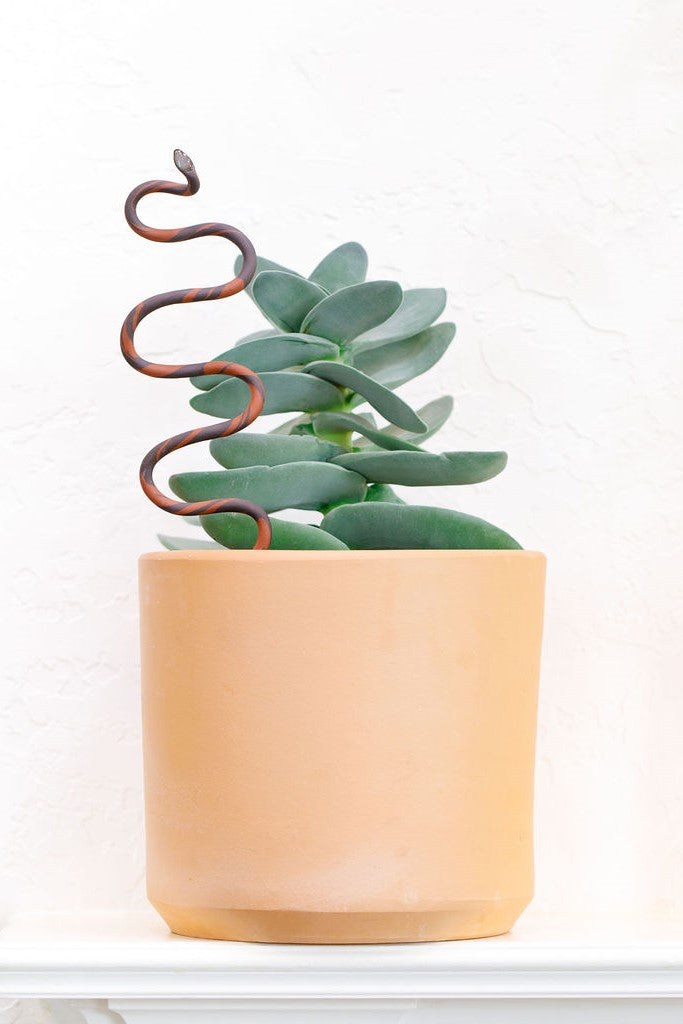 Ceramic Plant Snake Stake