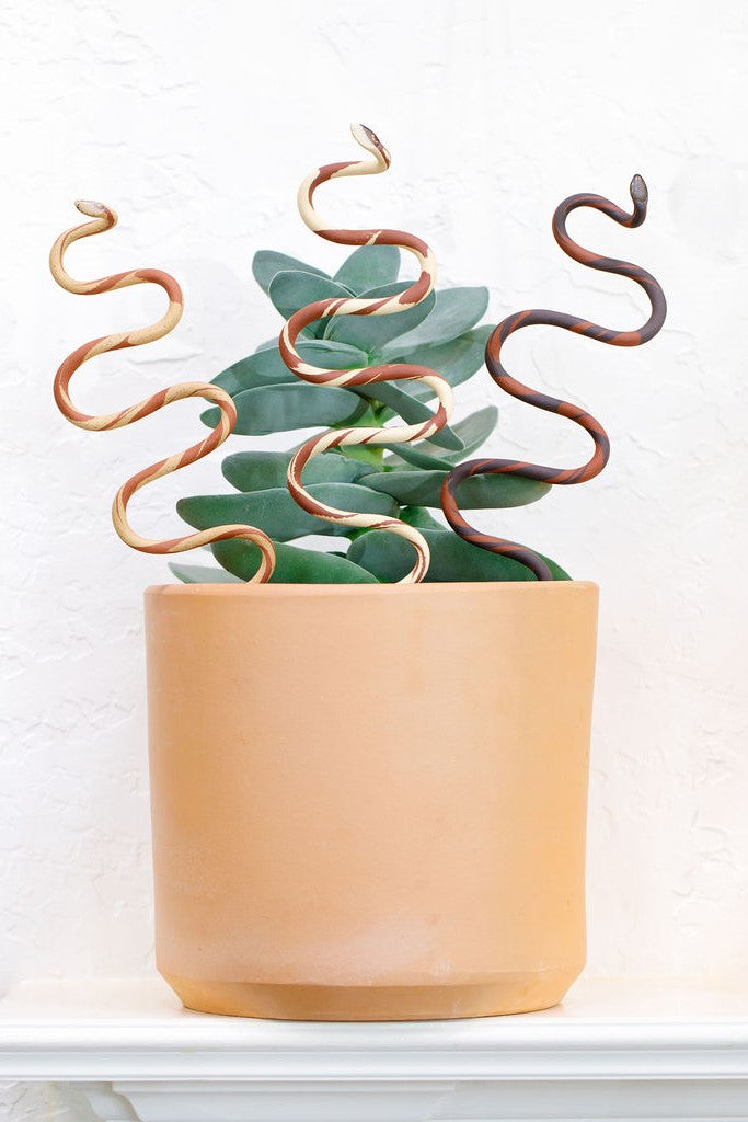 Ceramic Plant Snake Stake
