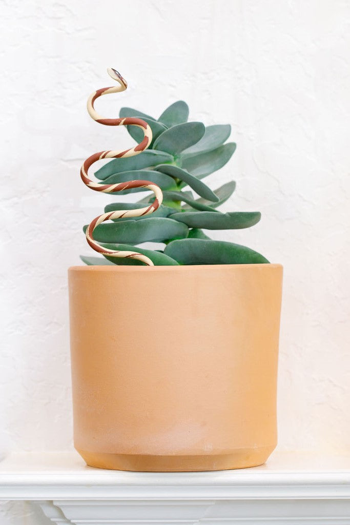 Ceramic Plant Snake Stake