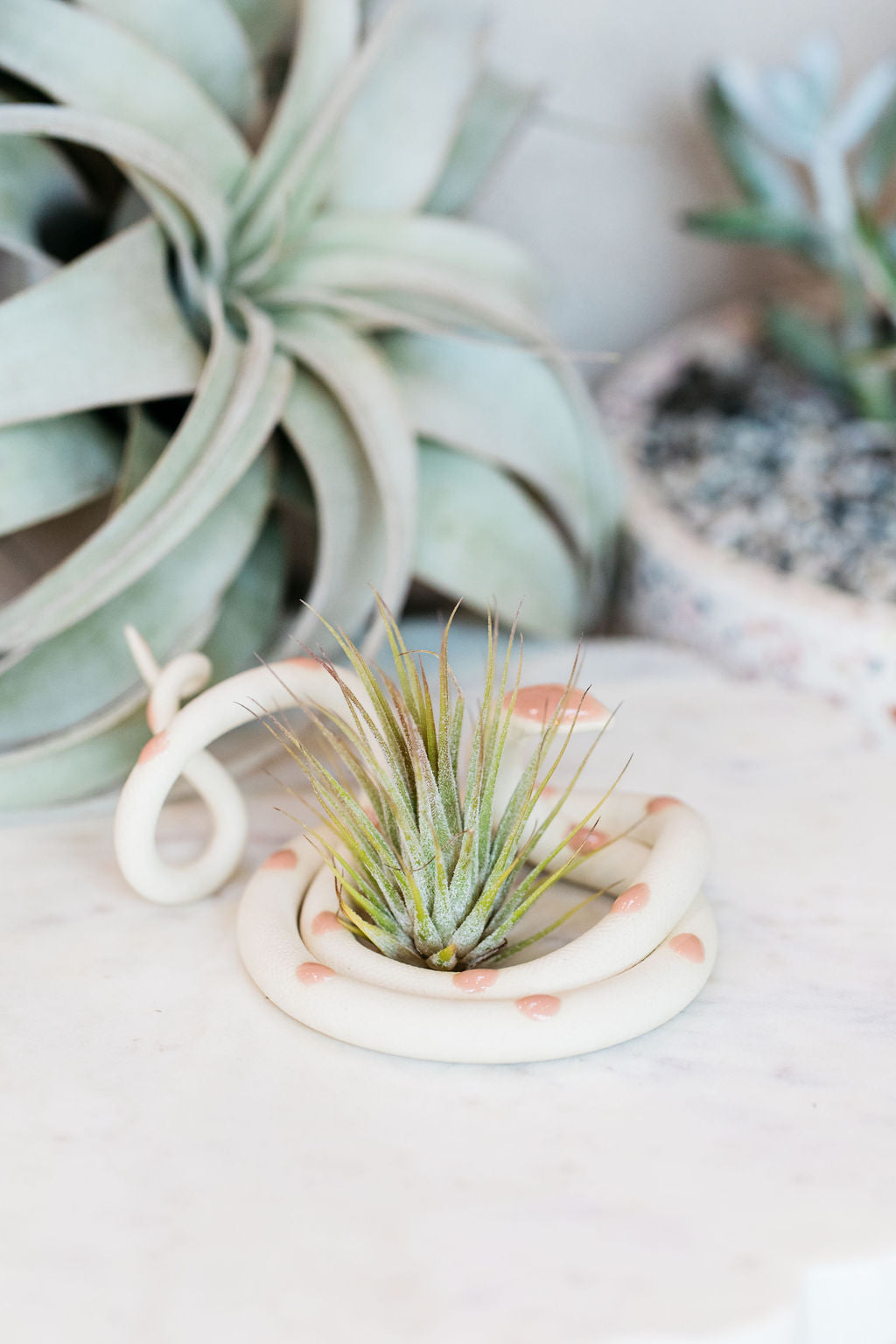 Medium Ceramic Snake