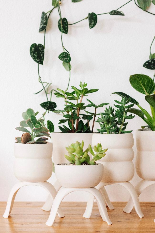 Ceramic Footed Plant Pots