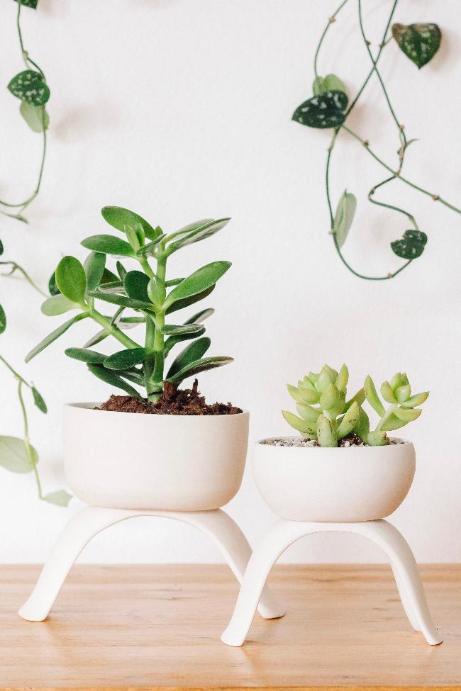 Ceramic Footed Plant Pots