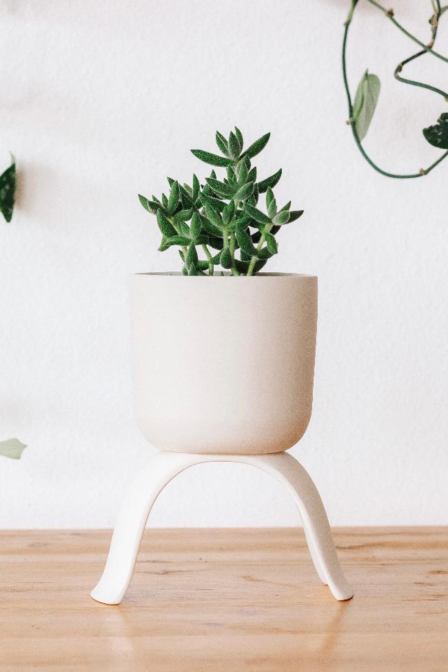 Ceramic Footed Plant Pots