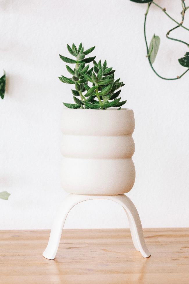 Ceramic Footed Plant Pots