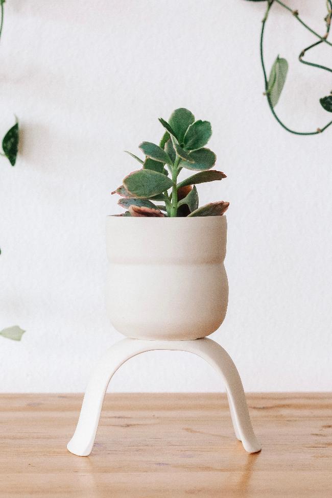 Ceramic Footed Plant Pots