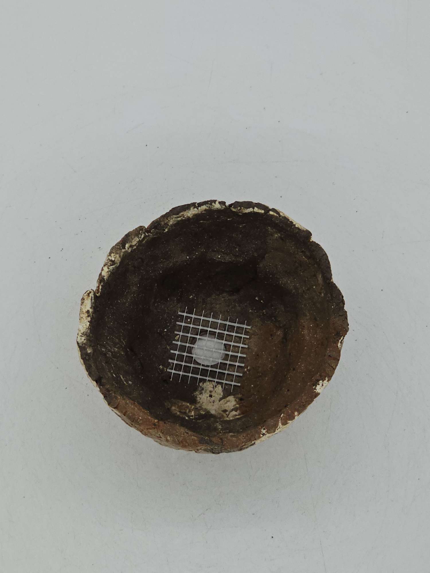 Cooked Earth