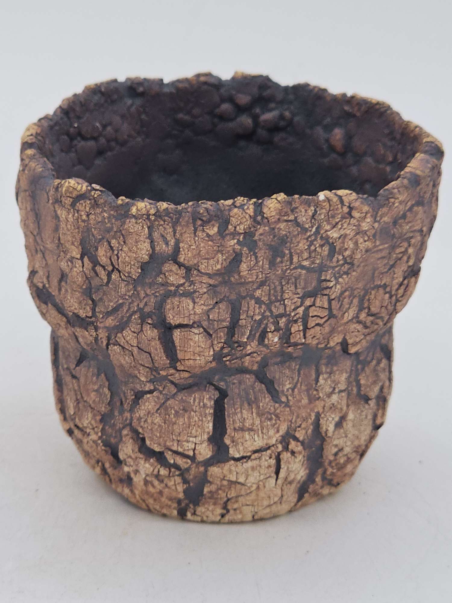 Cooked Earth