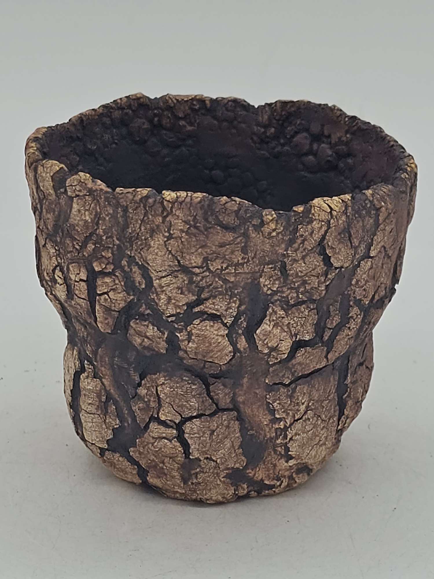 Cooked Earth