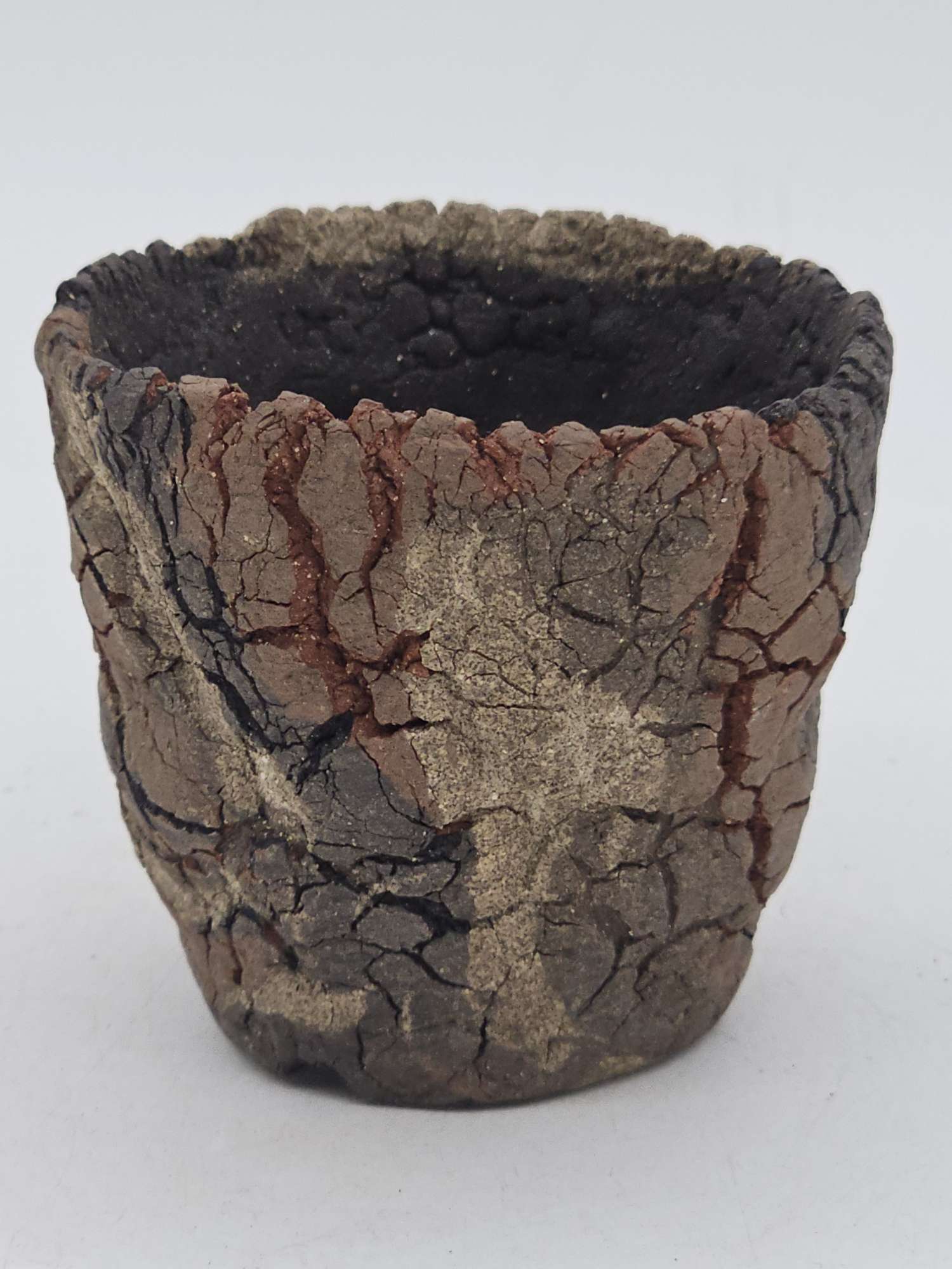 Cooked Earth