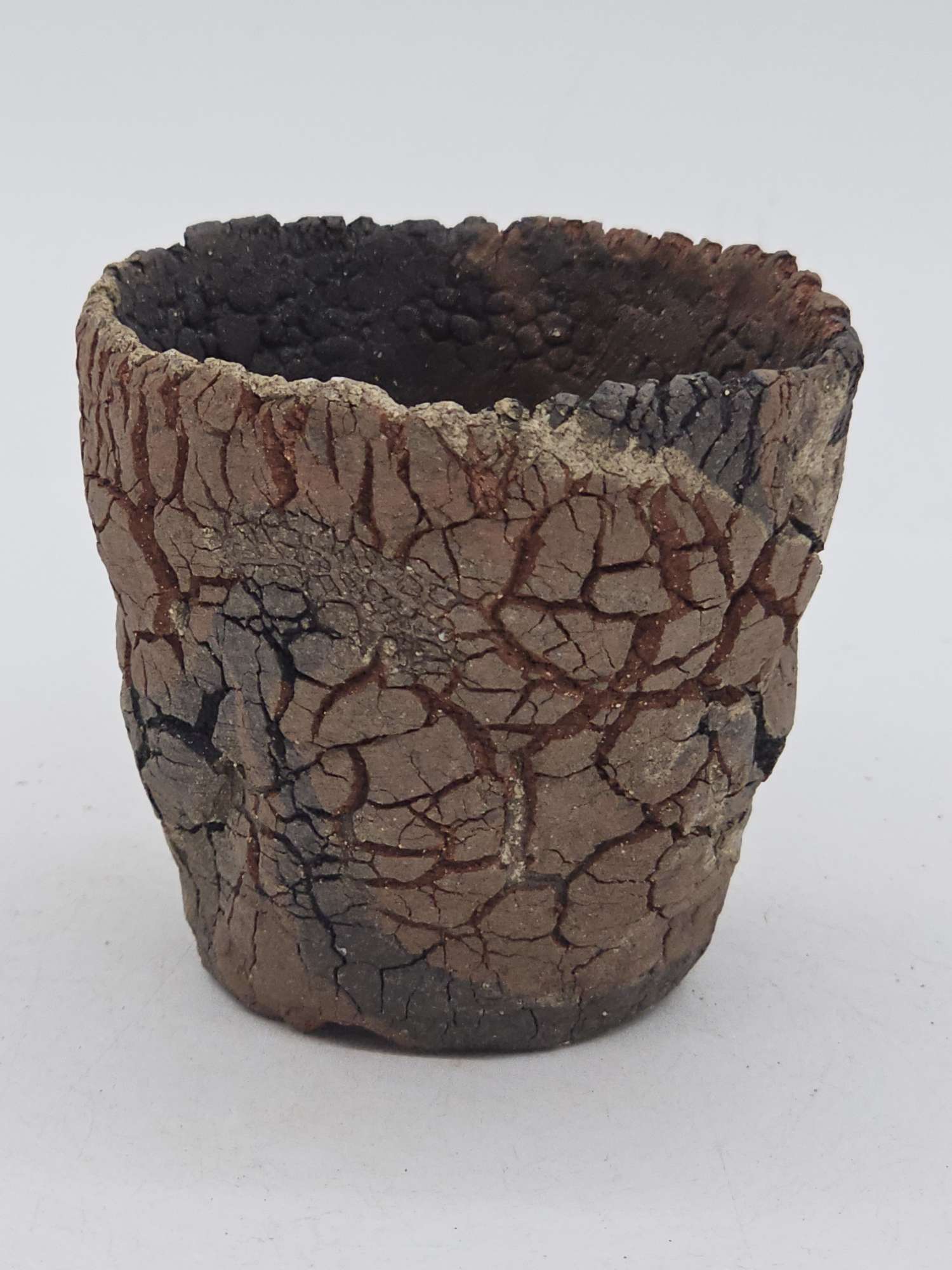 Cooked Earth