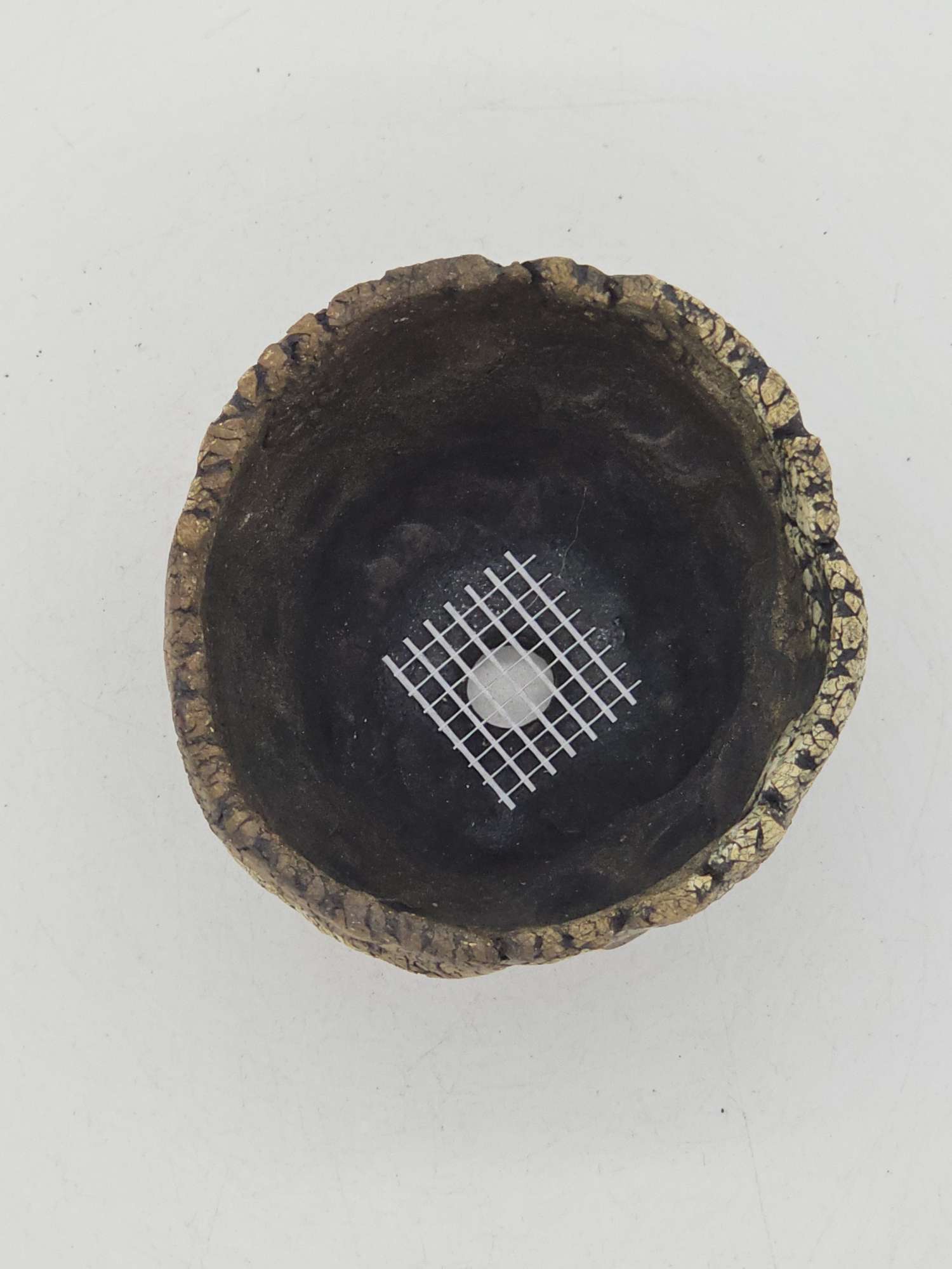 Cooked Earth