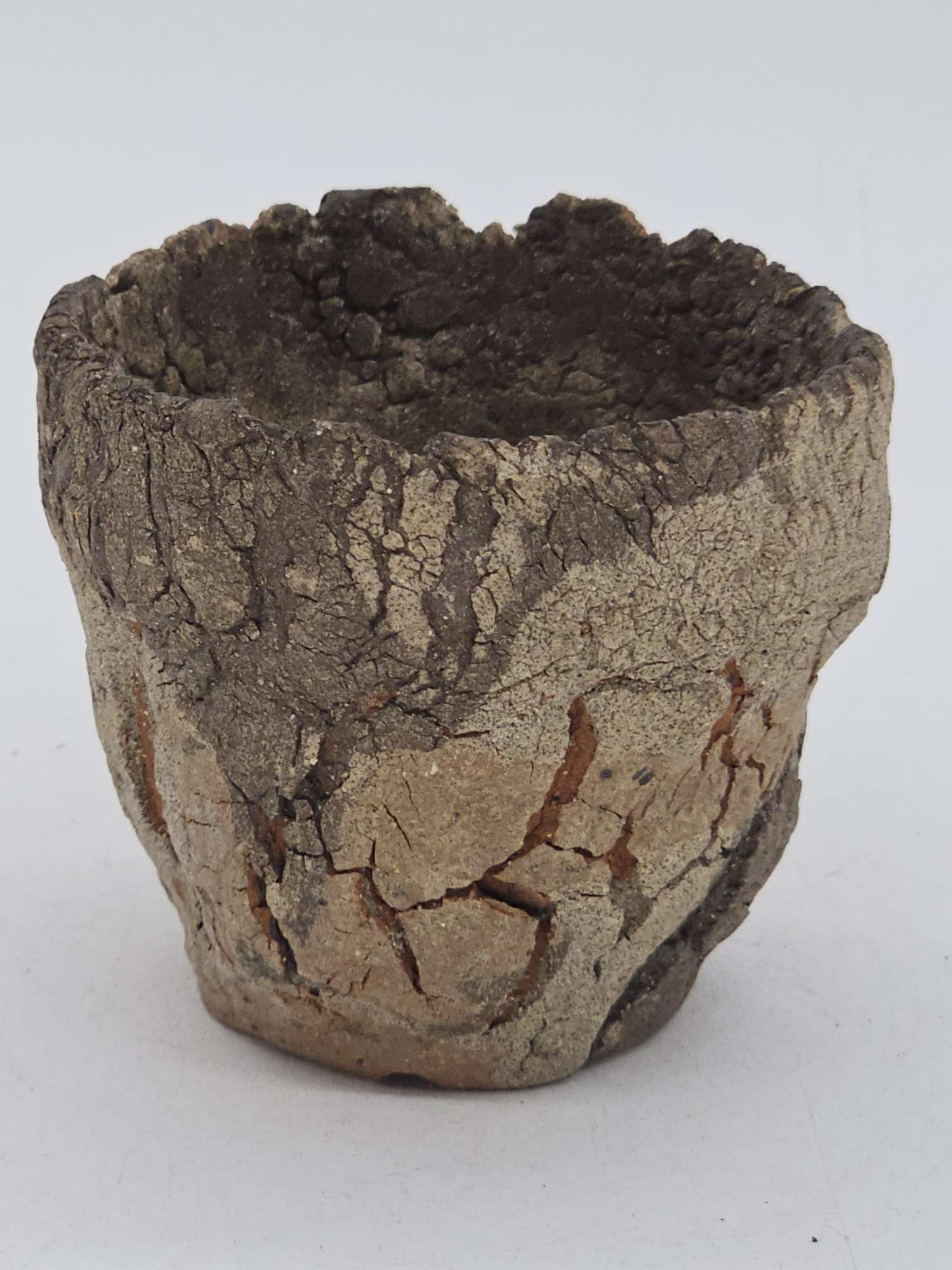 Cooked Earth