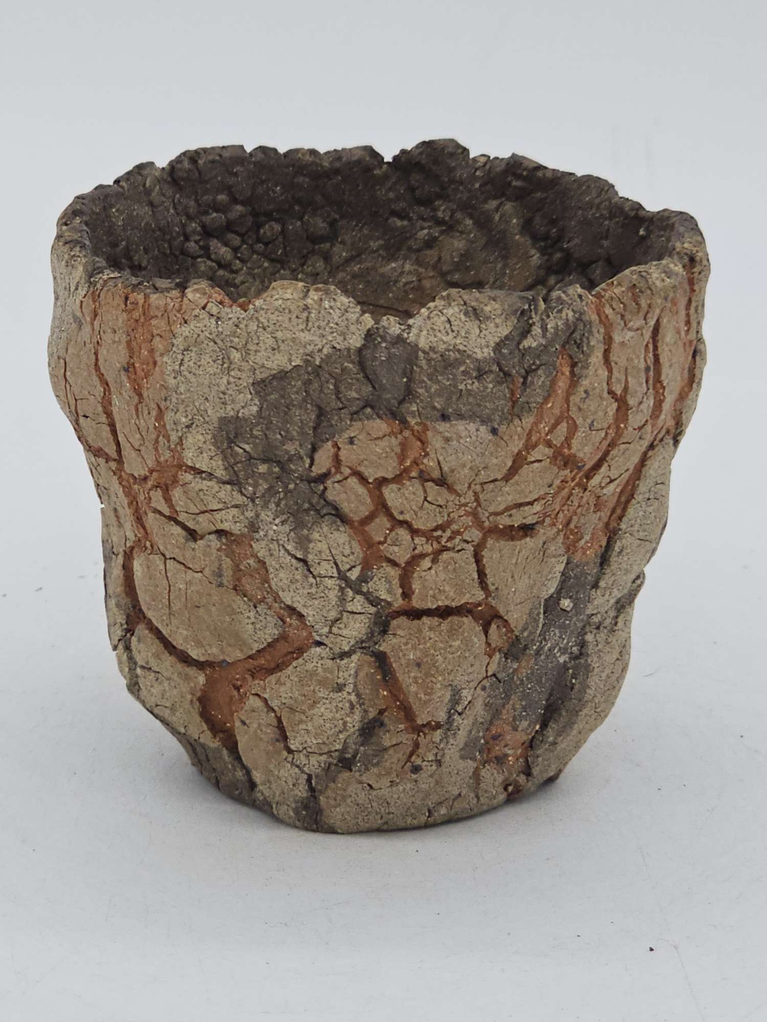 Cooked Earth