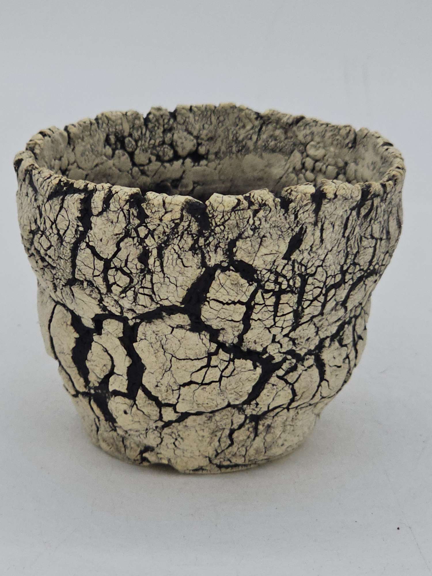 Cooked Earth