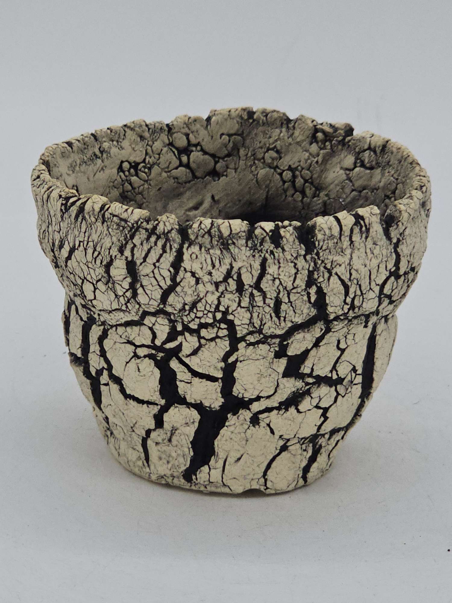 Cooked Earth