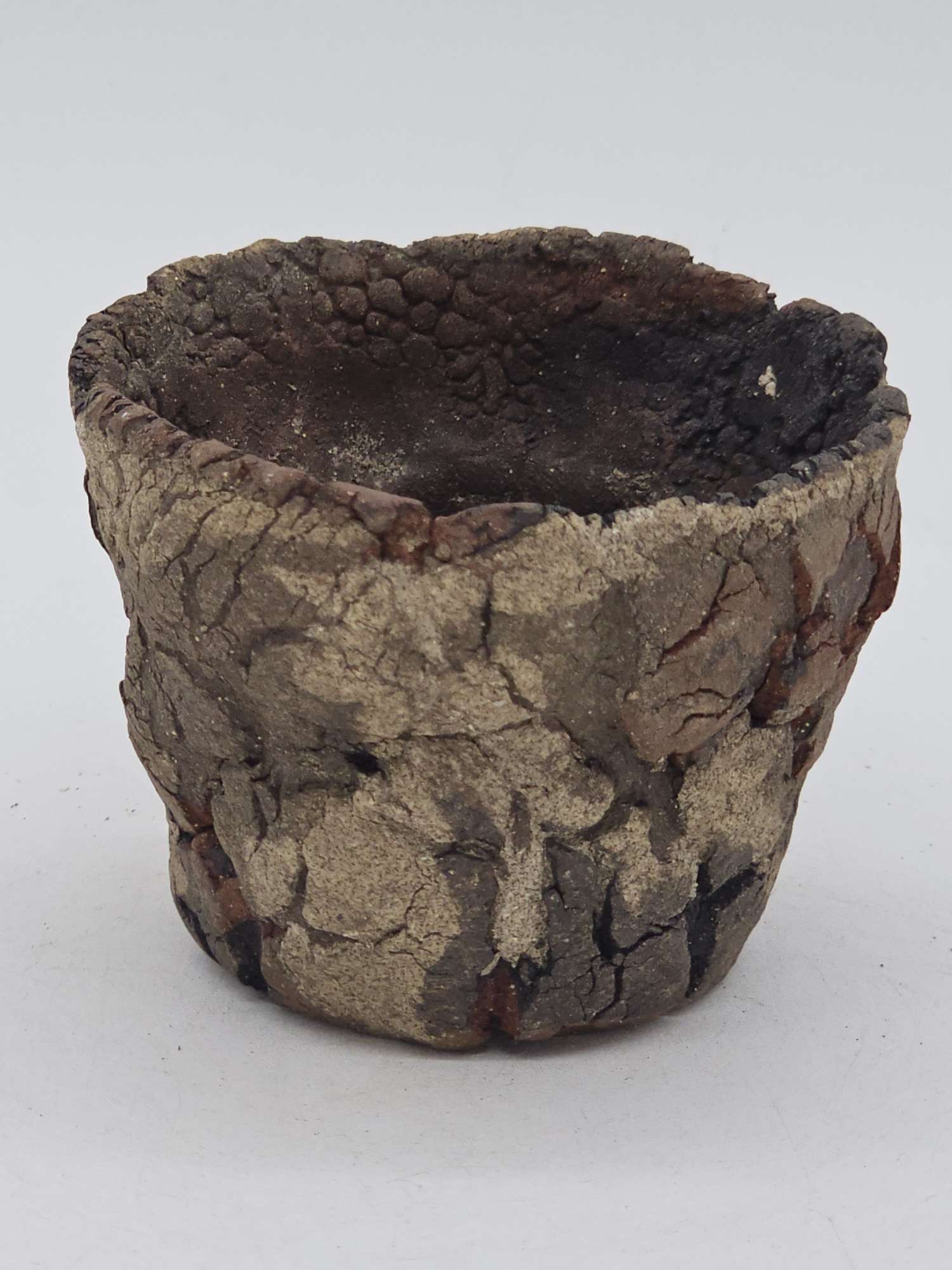 Cooked Earth