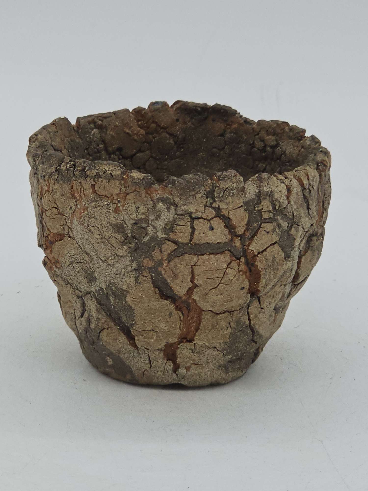 Cooked Earth