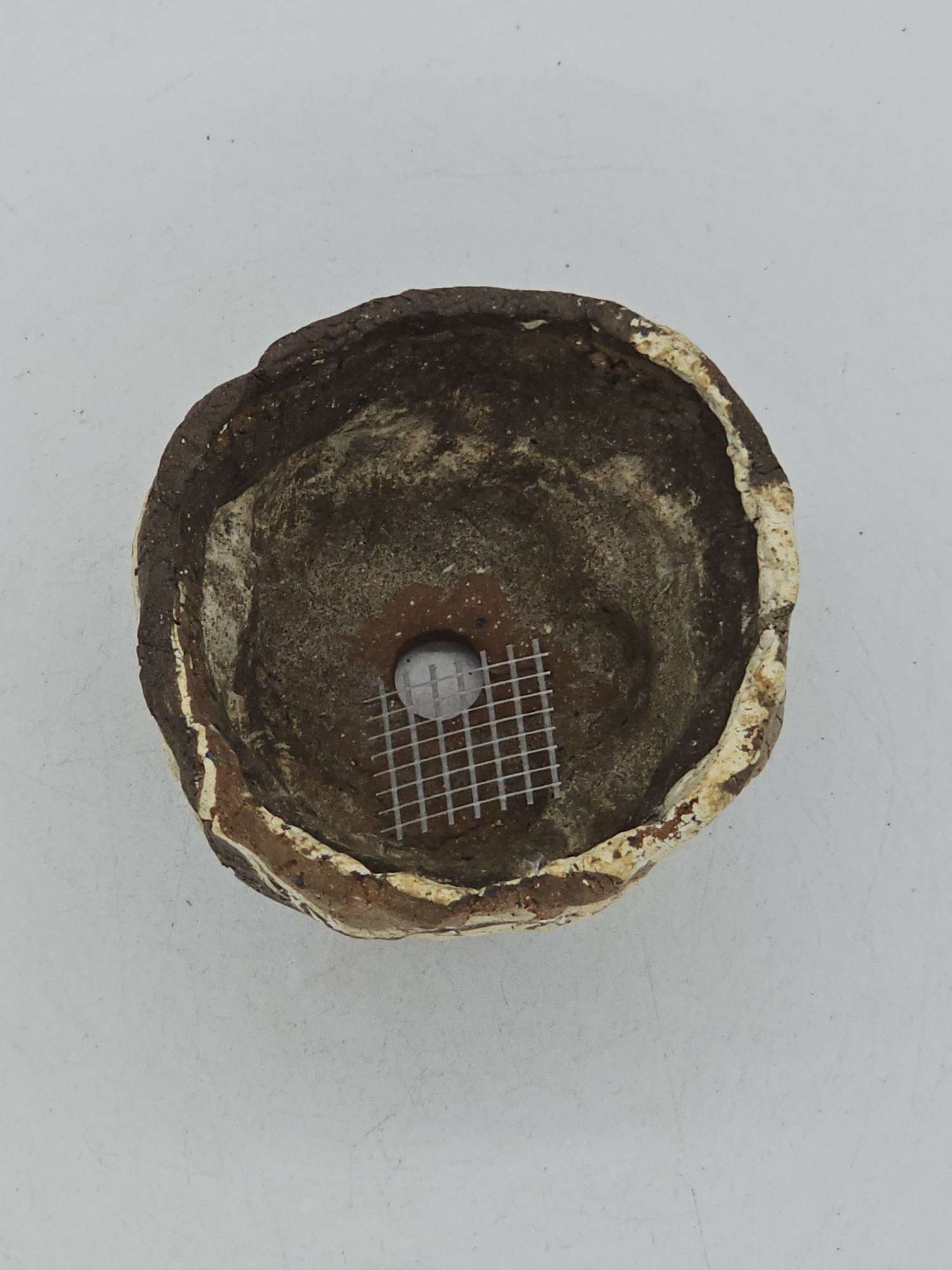 Cooked Earth