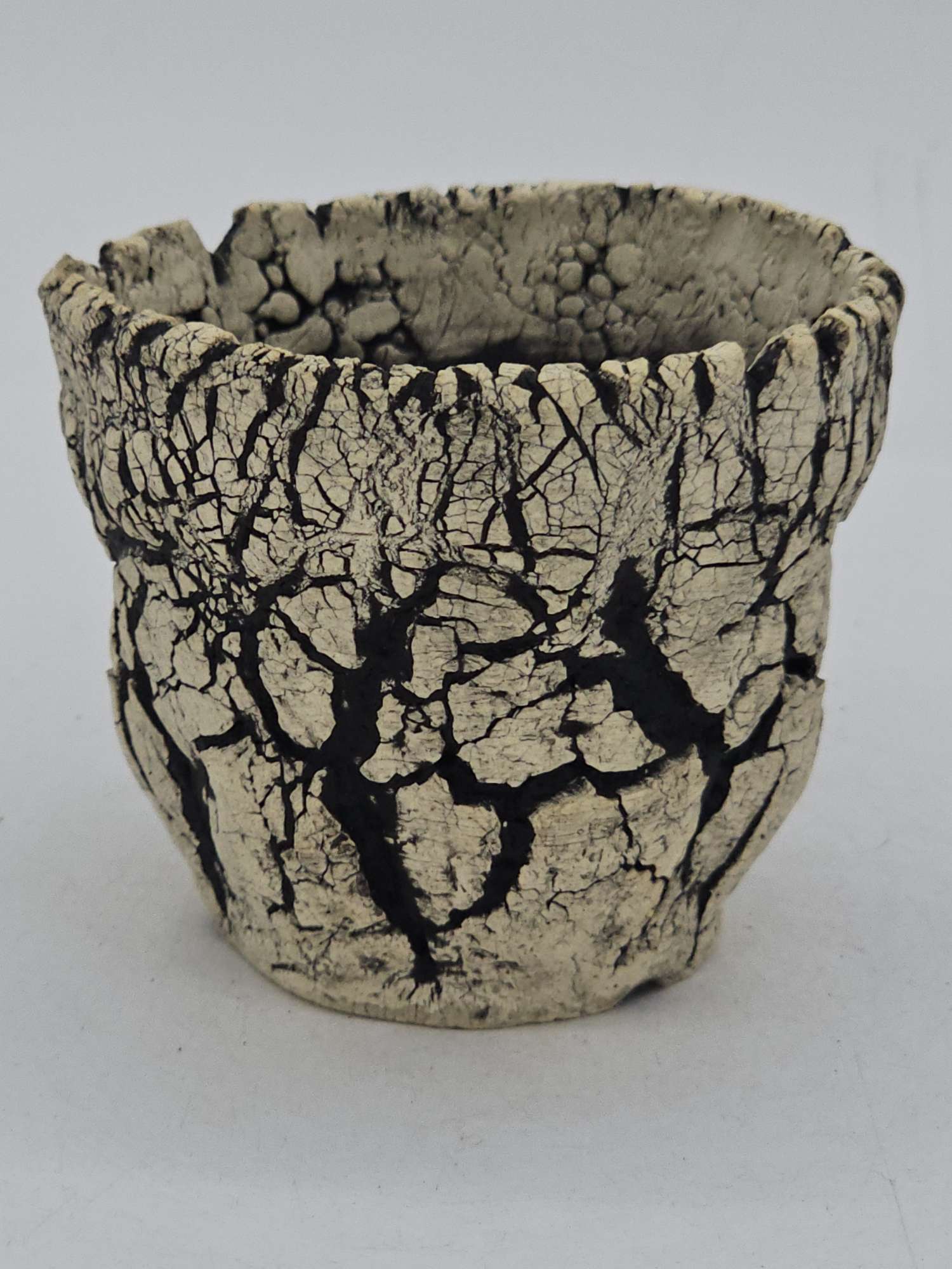 Cooked Earth