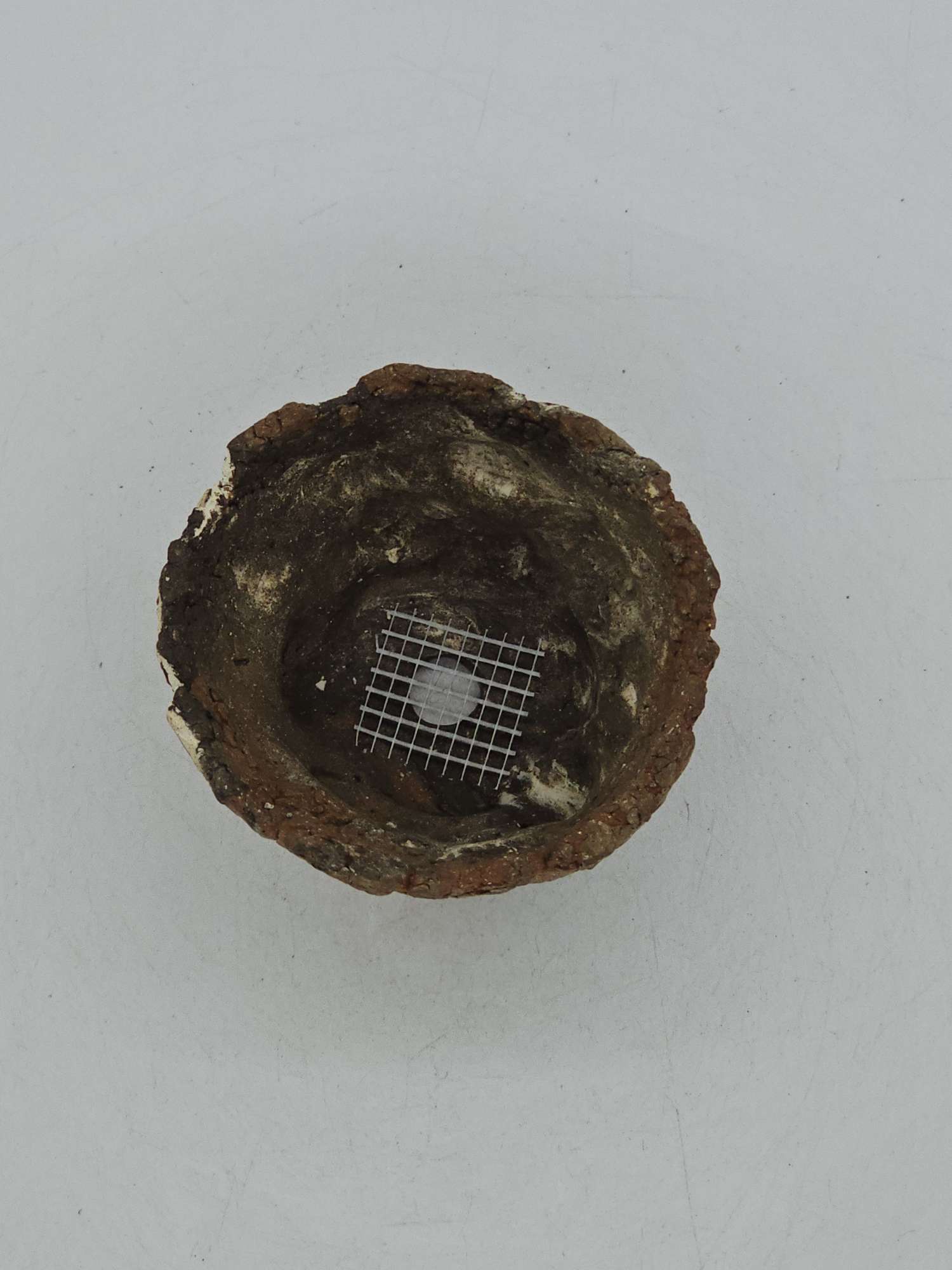 Cooked Earth