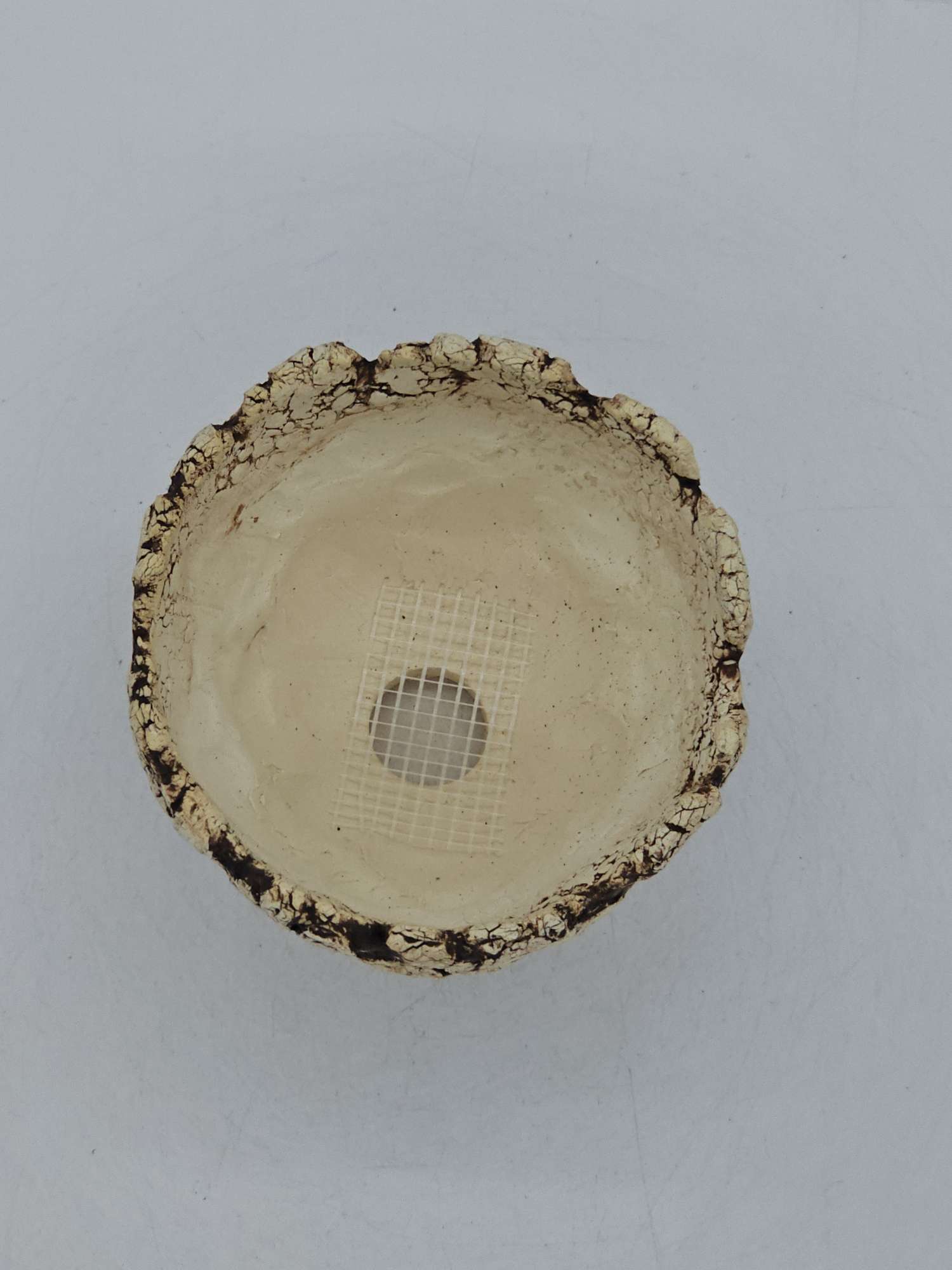 Cooked Earth
