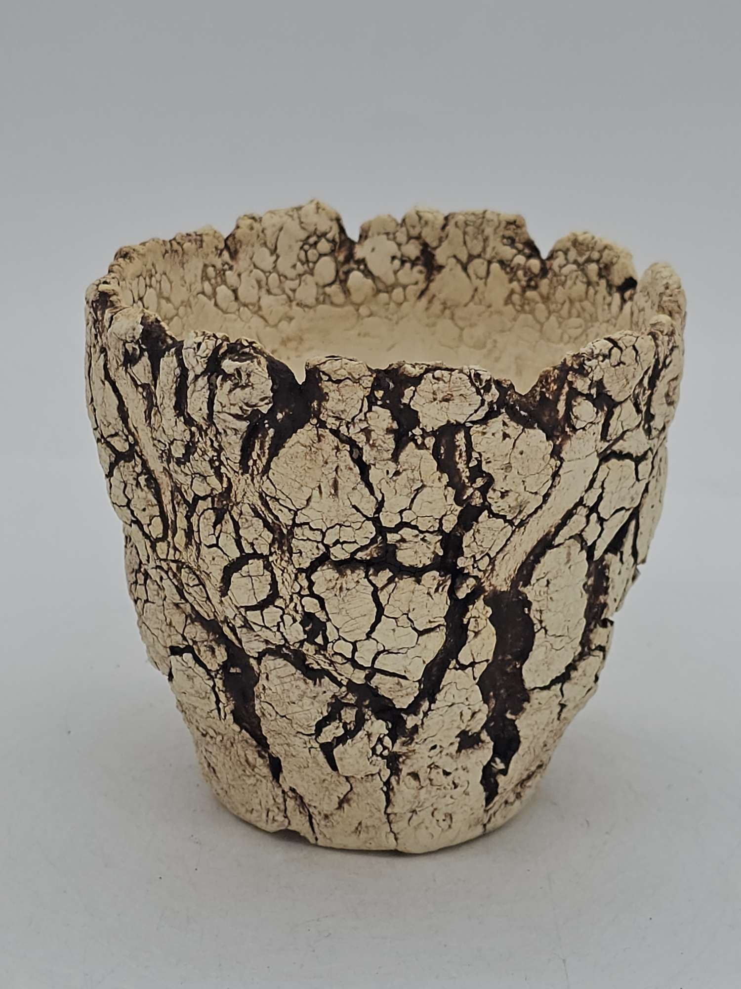 Cooked Earth