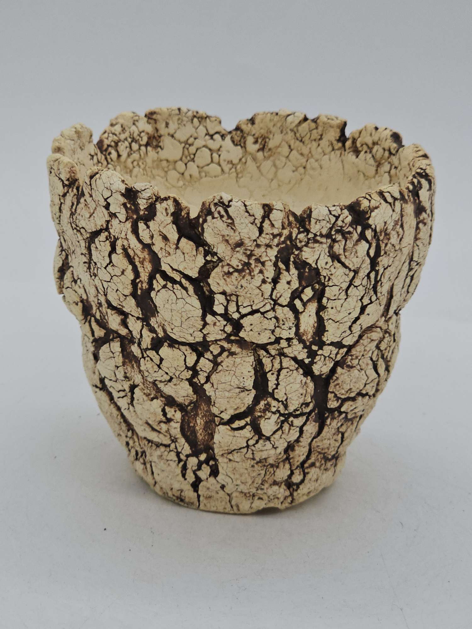 Cooked Earth