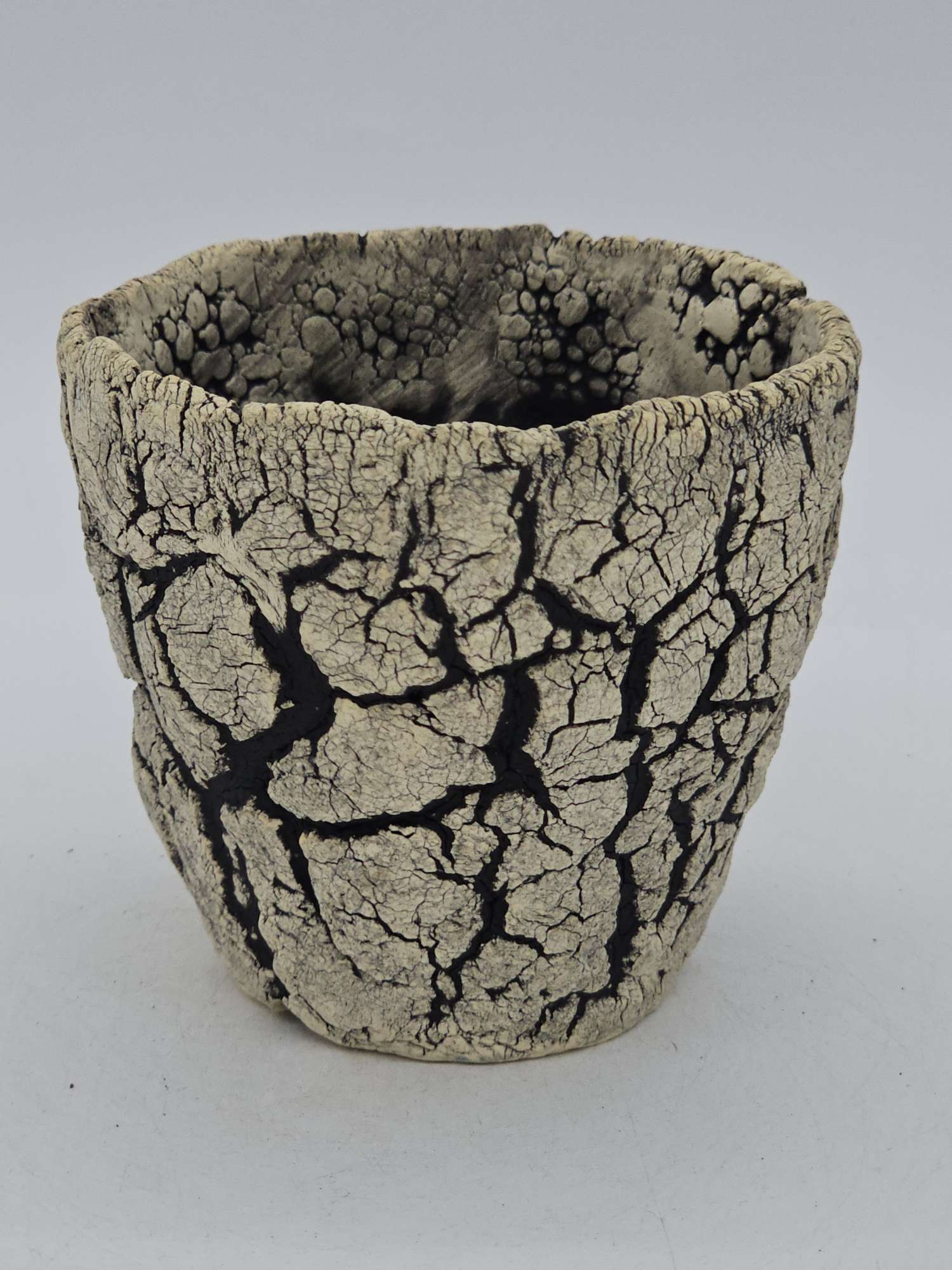 Cooked Earth