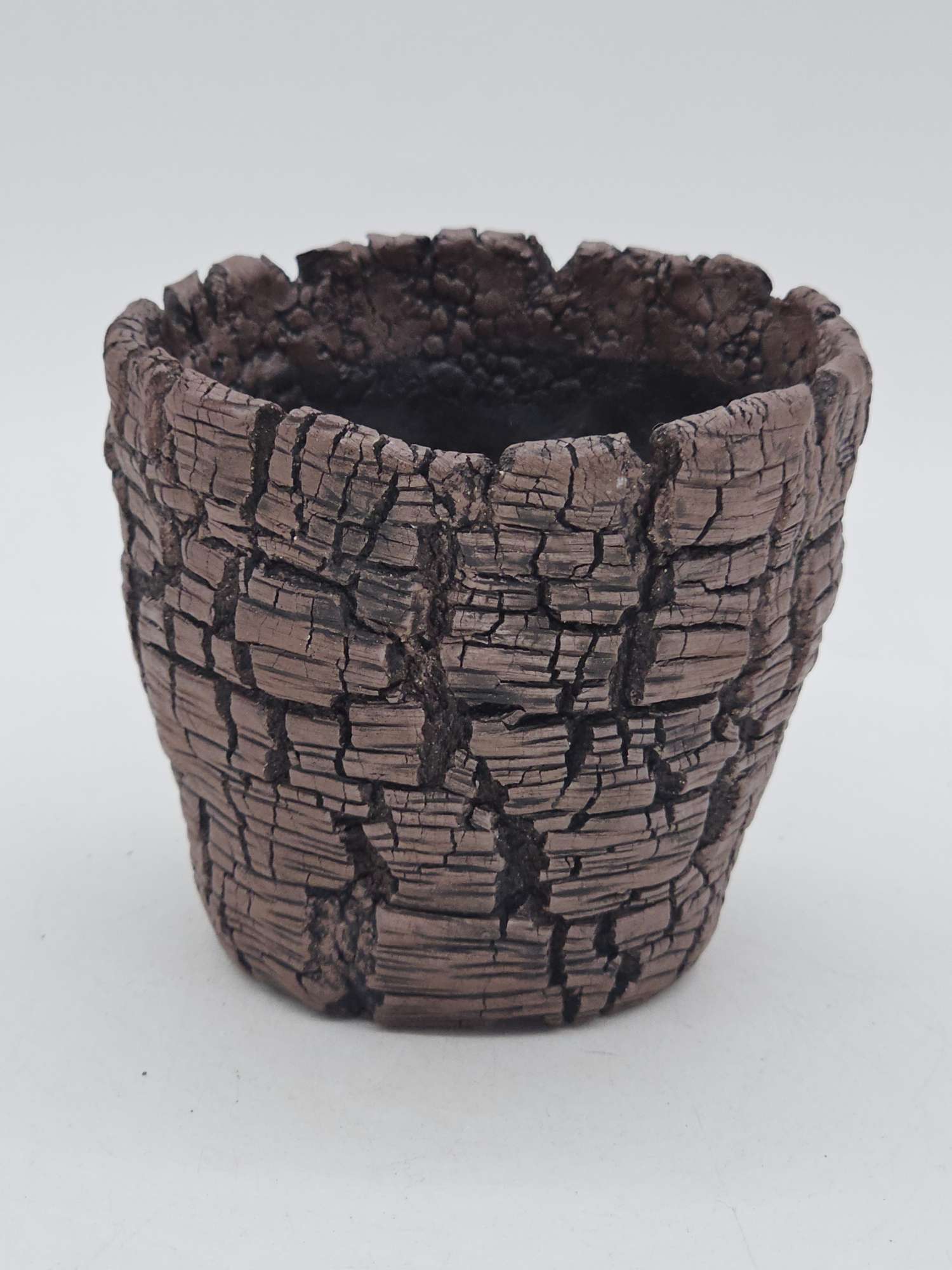 Cooked Earth