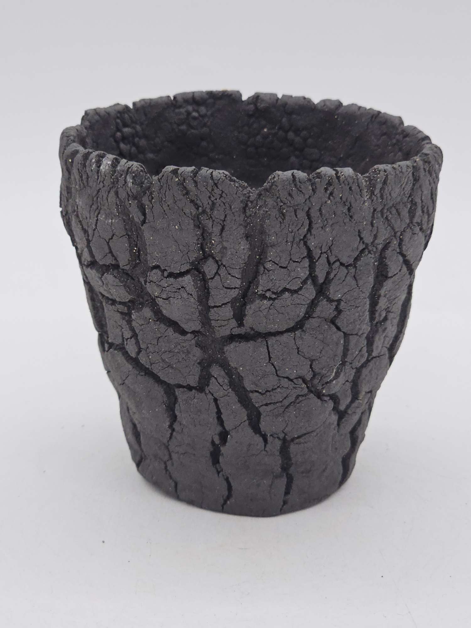 Cooked Earth