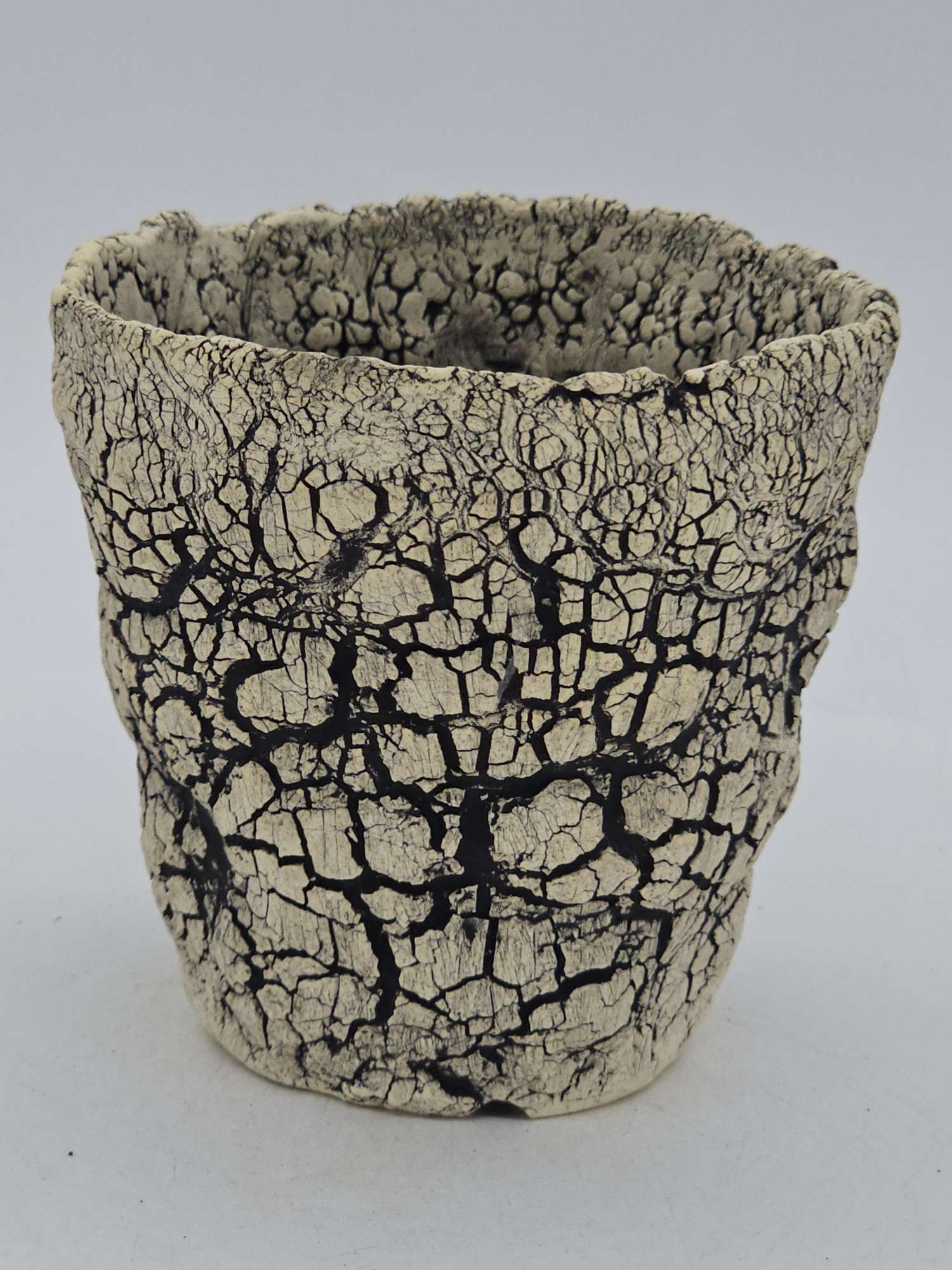 Cooked Earth