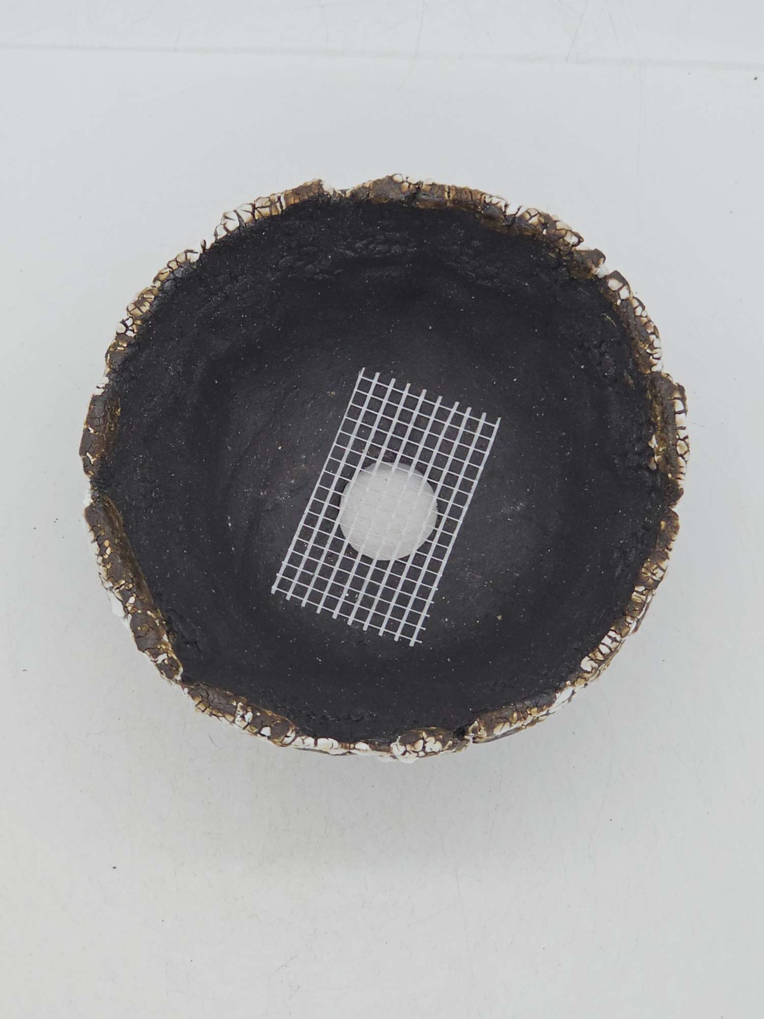 Cooked Earth