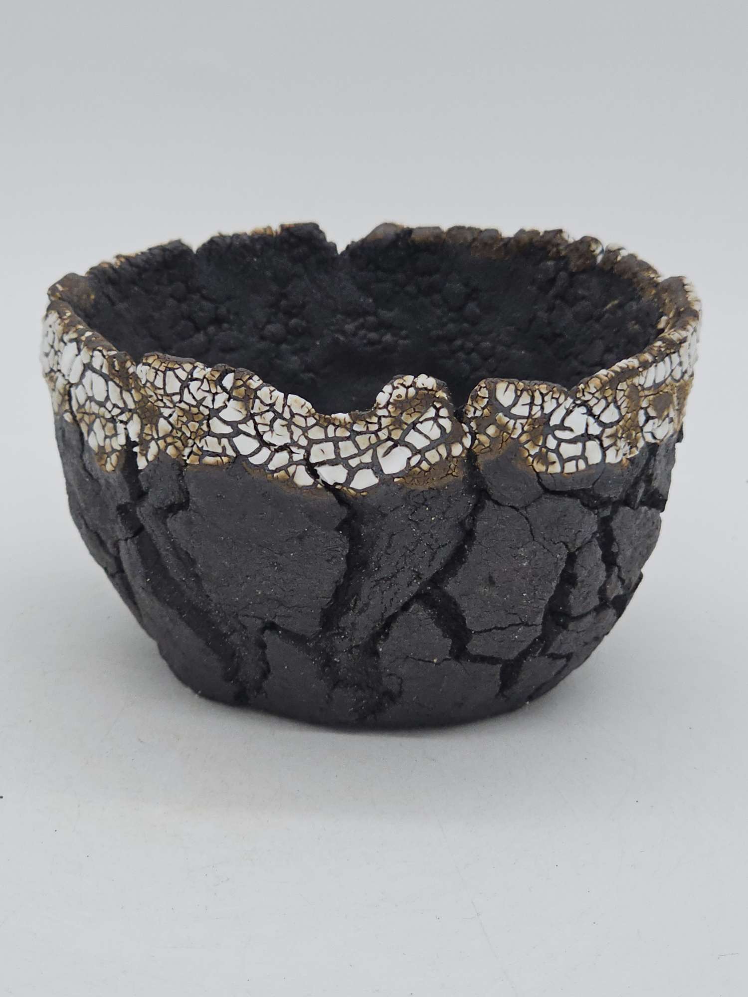 Cooked Earth