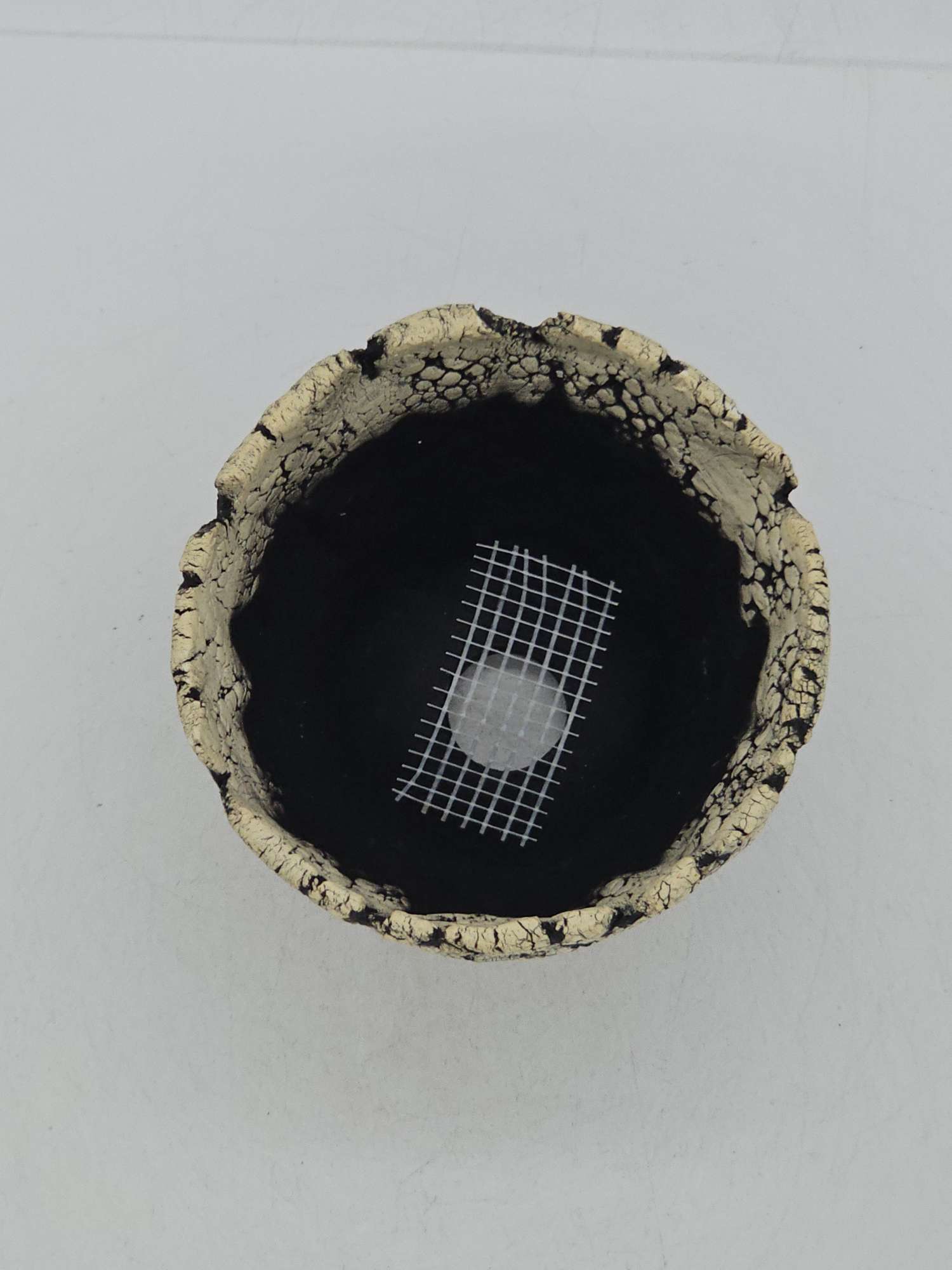 Cooked Earth