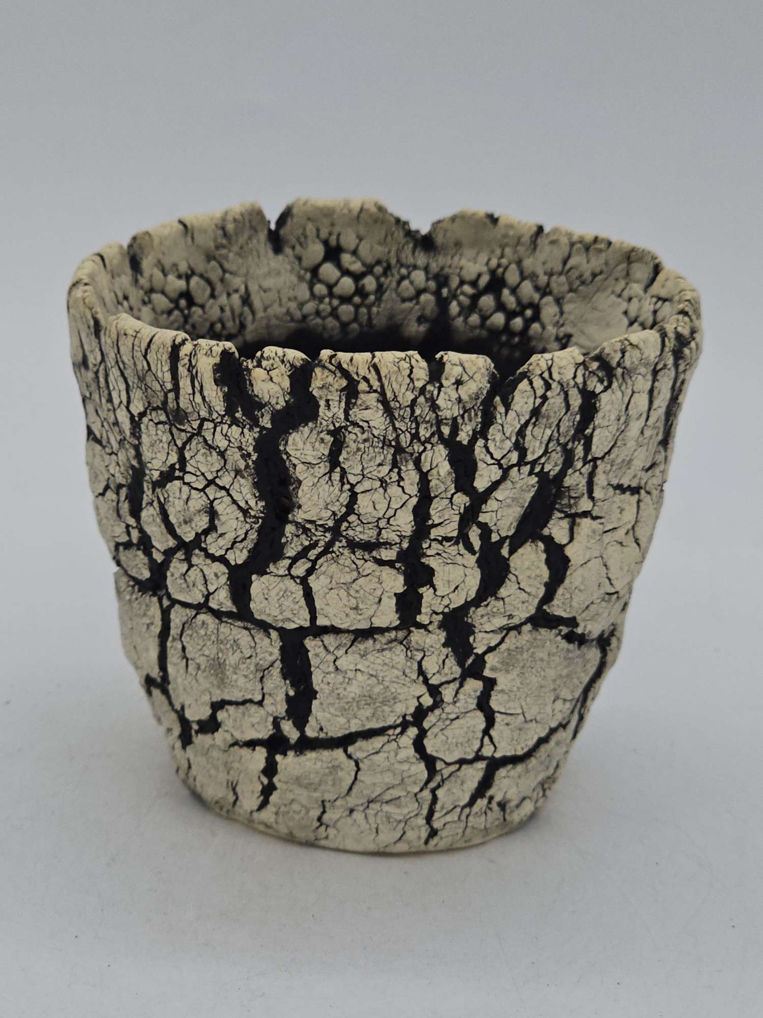 Cooked Earth