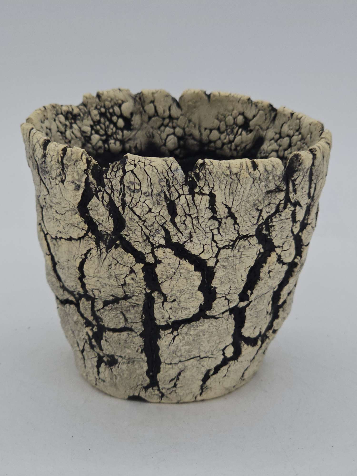 Cooked Earth