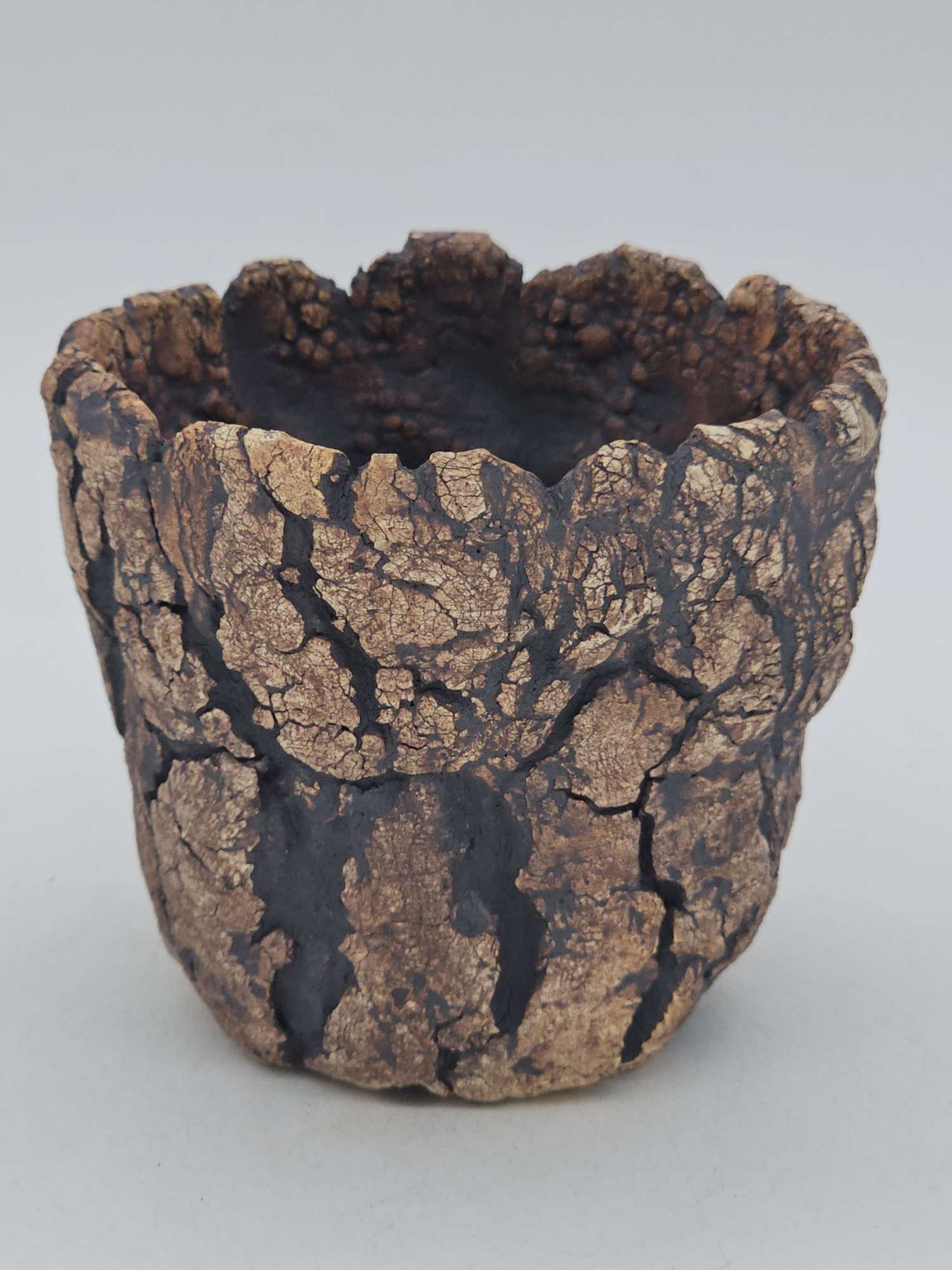 Cooked Earth