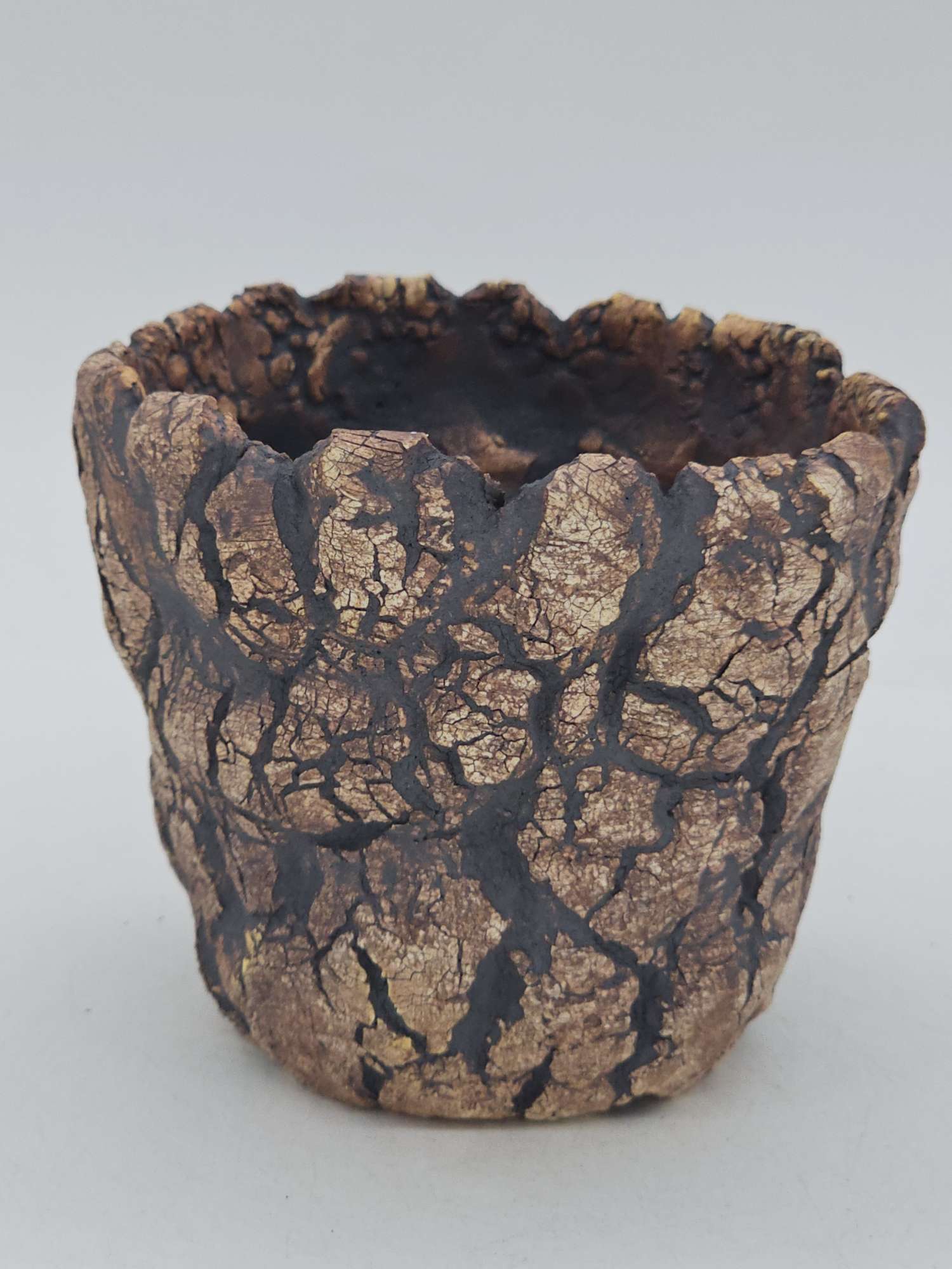 Cooked Earth