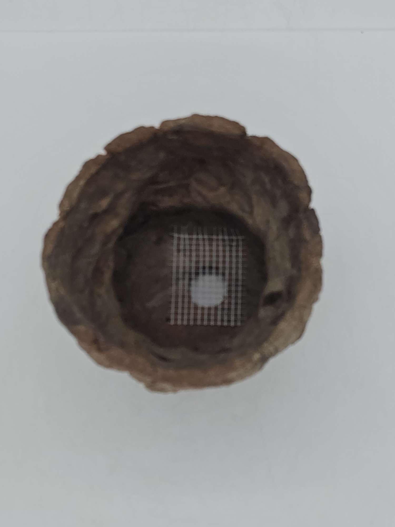 Cooked Earth