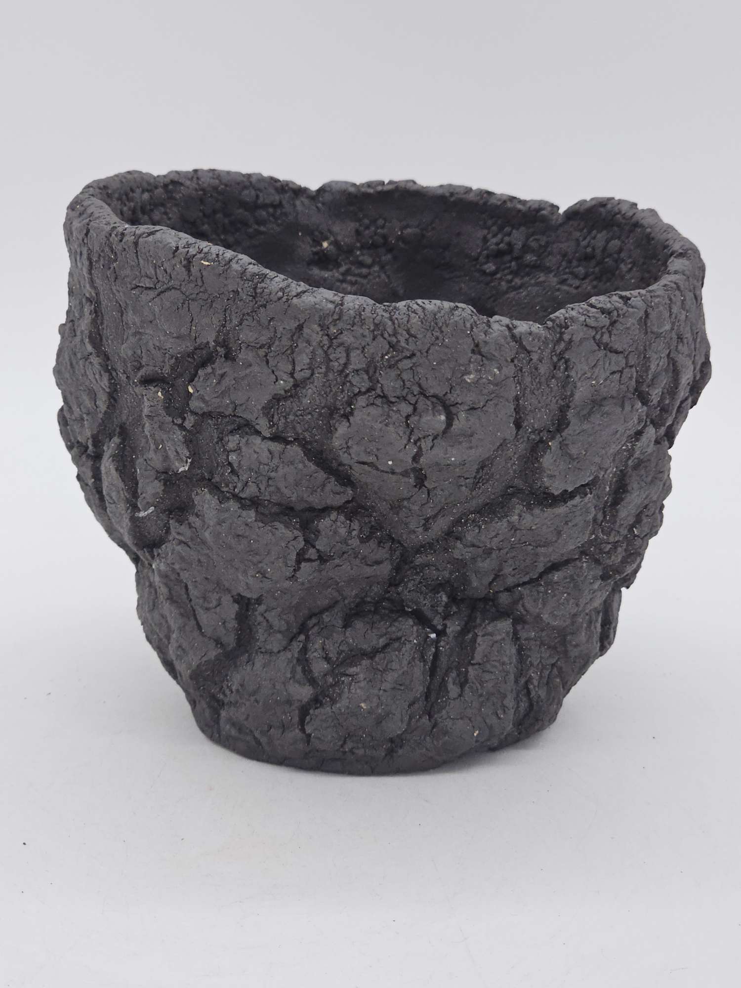 Cooked Earth