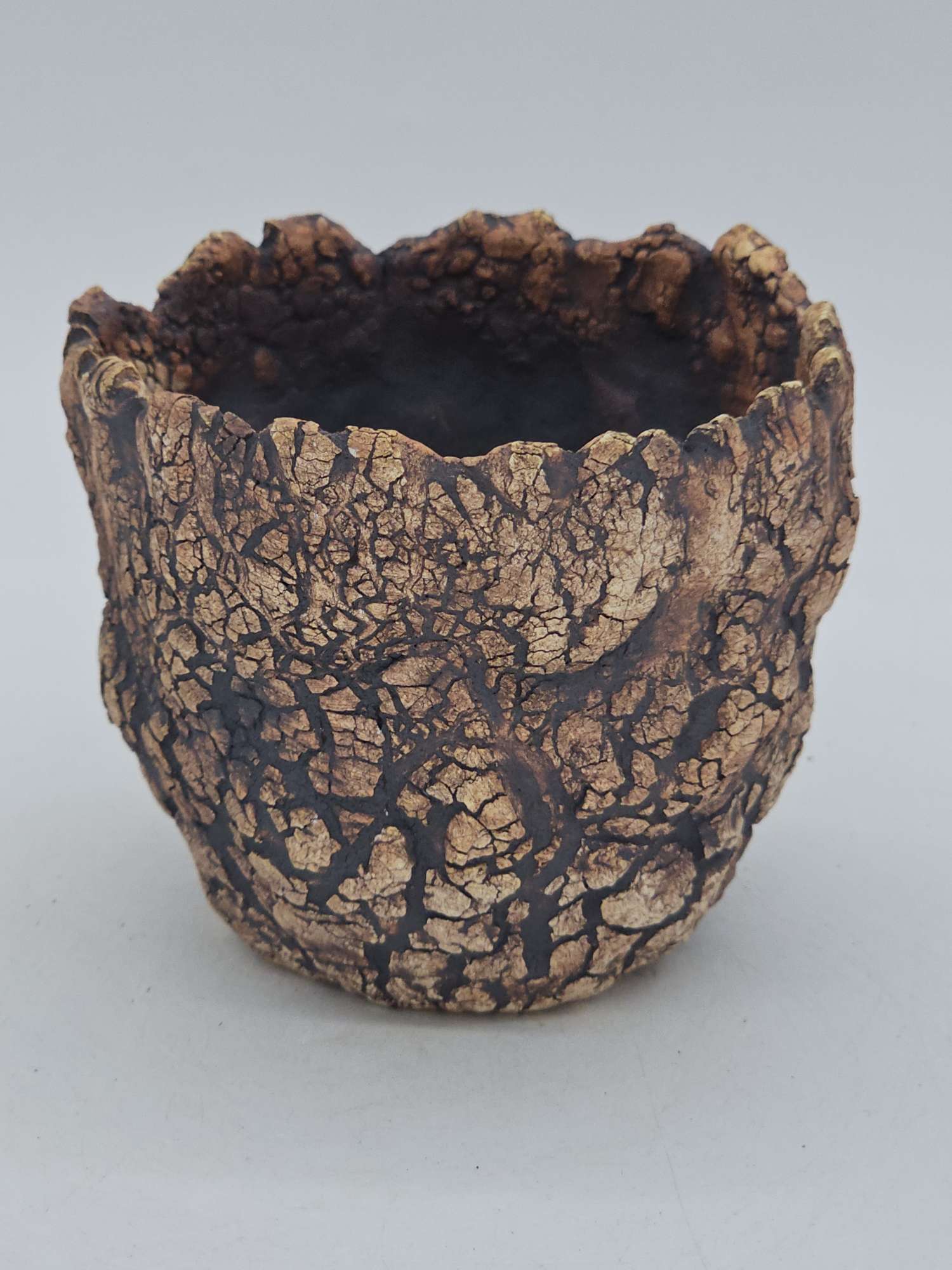 Cooked Earth