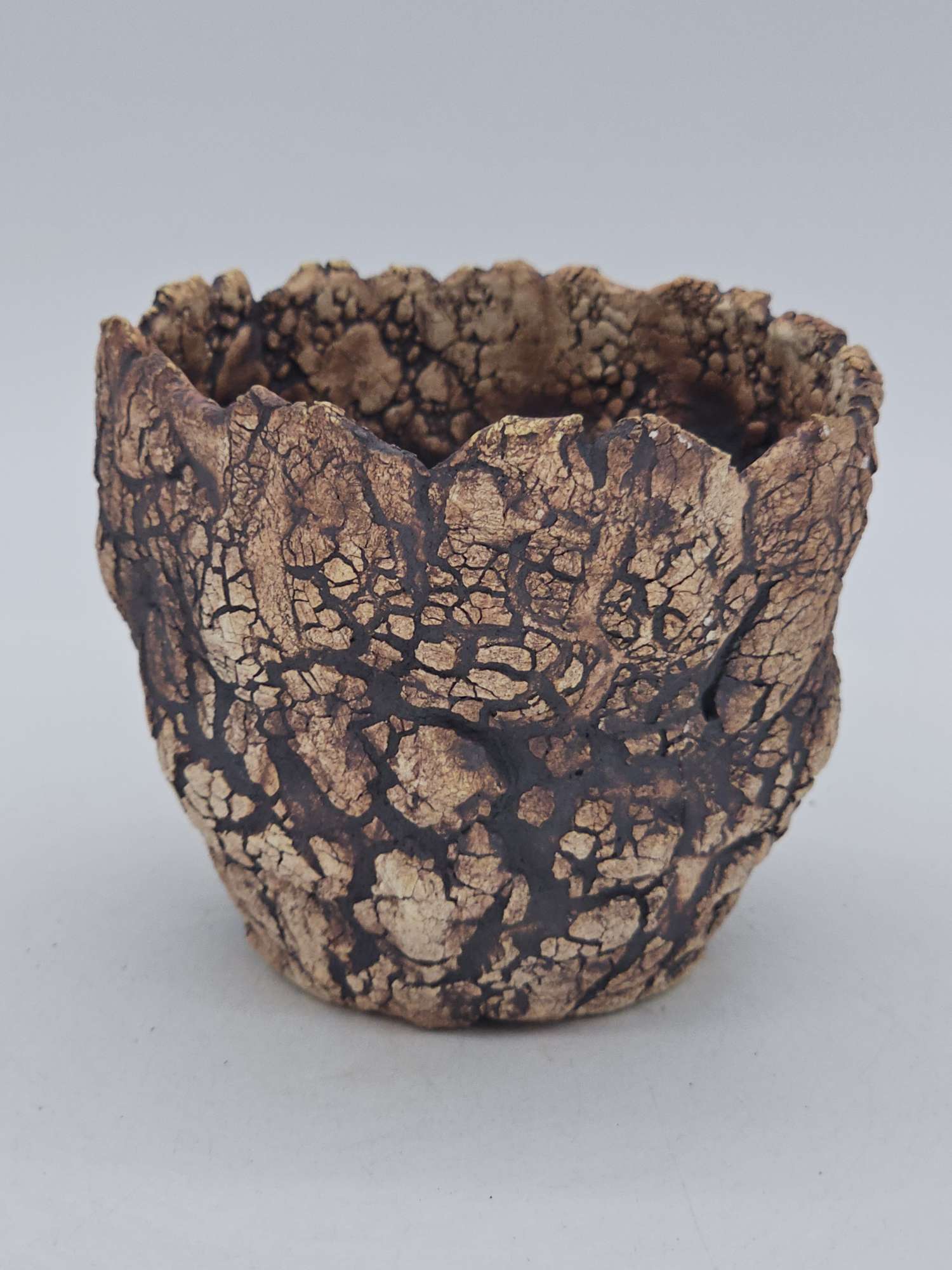 Cooked Earth