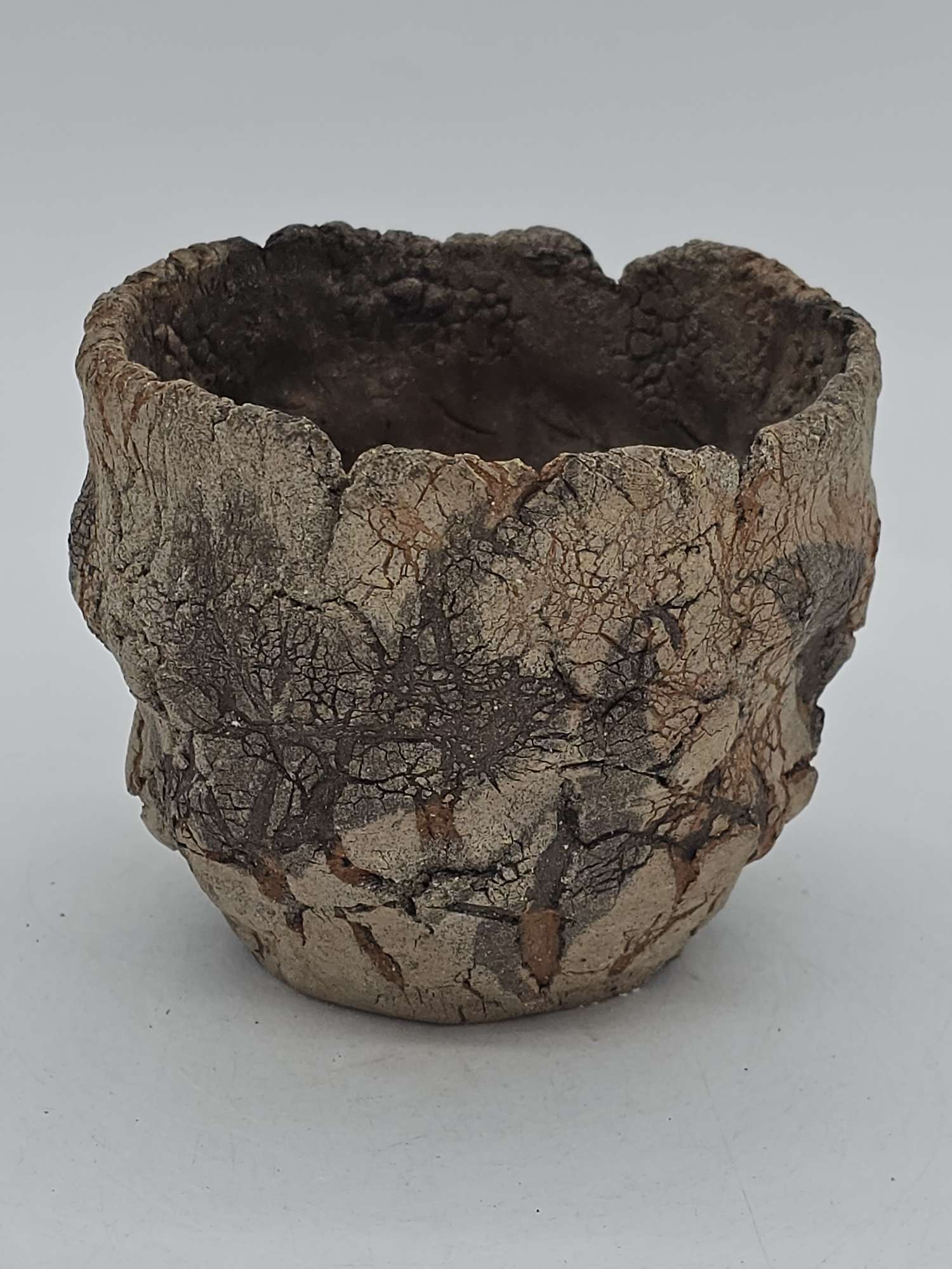 Cooked Earth