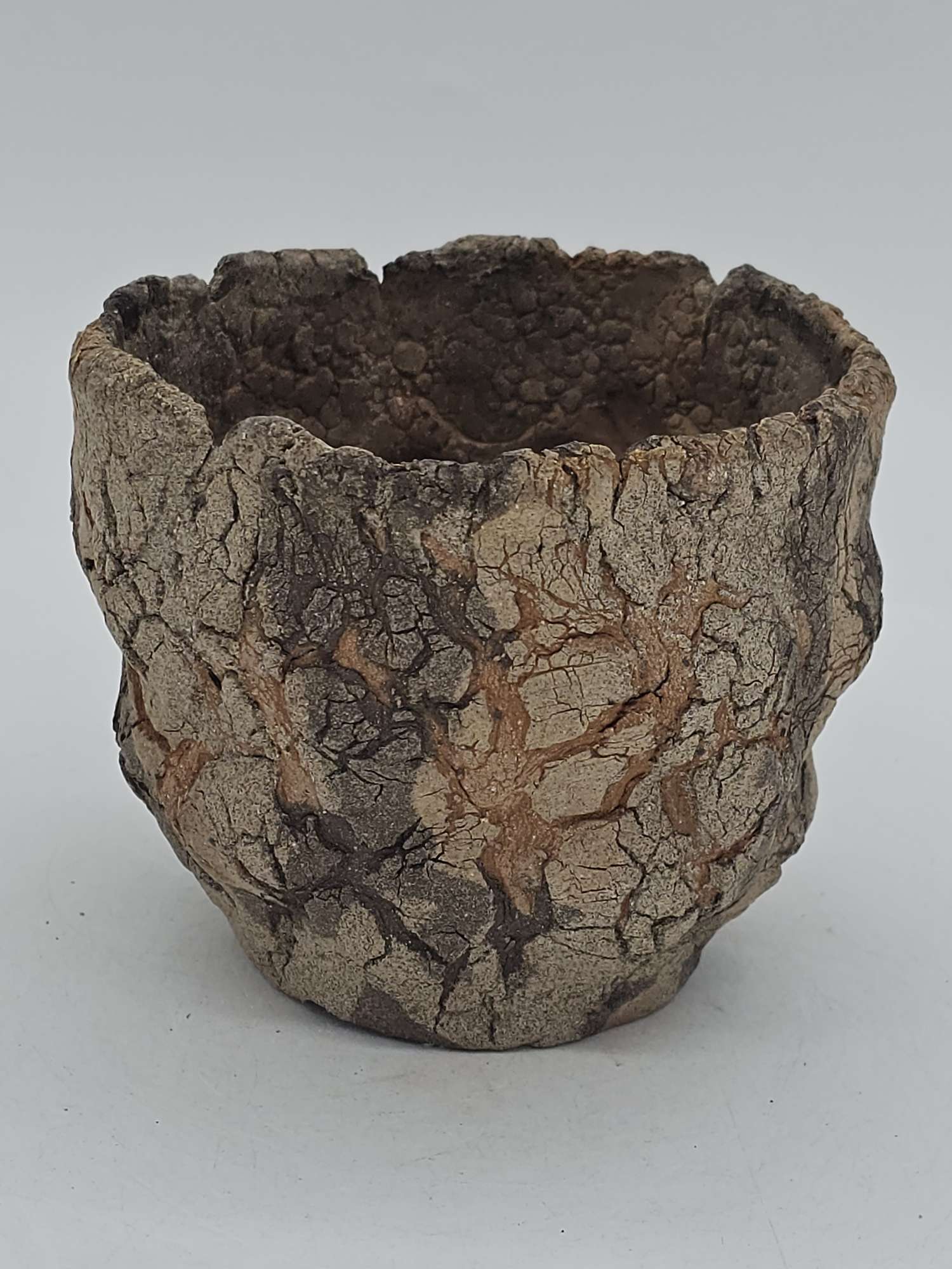 Cooked Earth